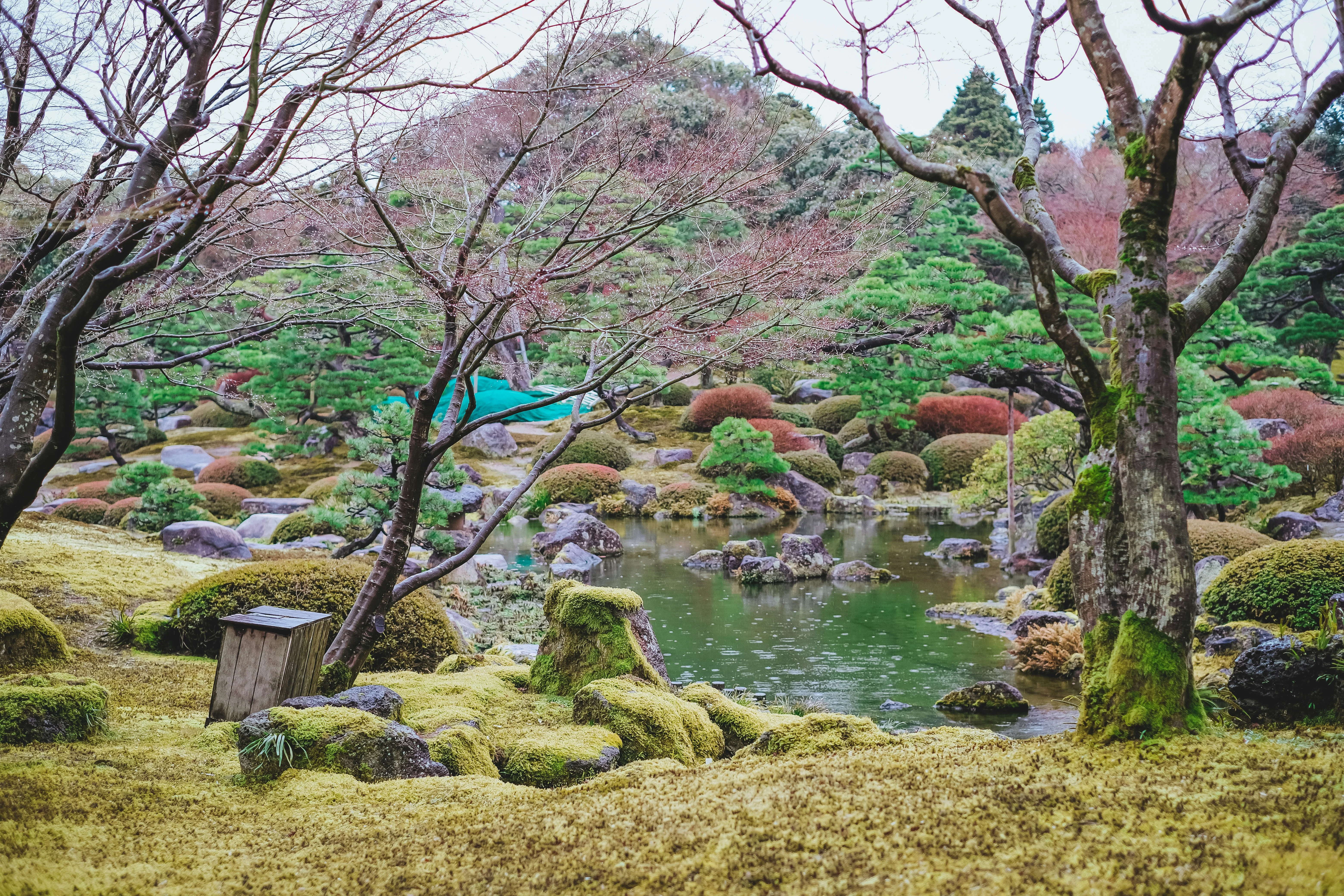 Hidden Havens: Unearthing Tottori's Least-Known Onsen