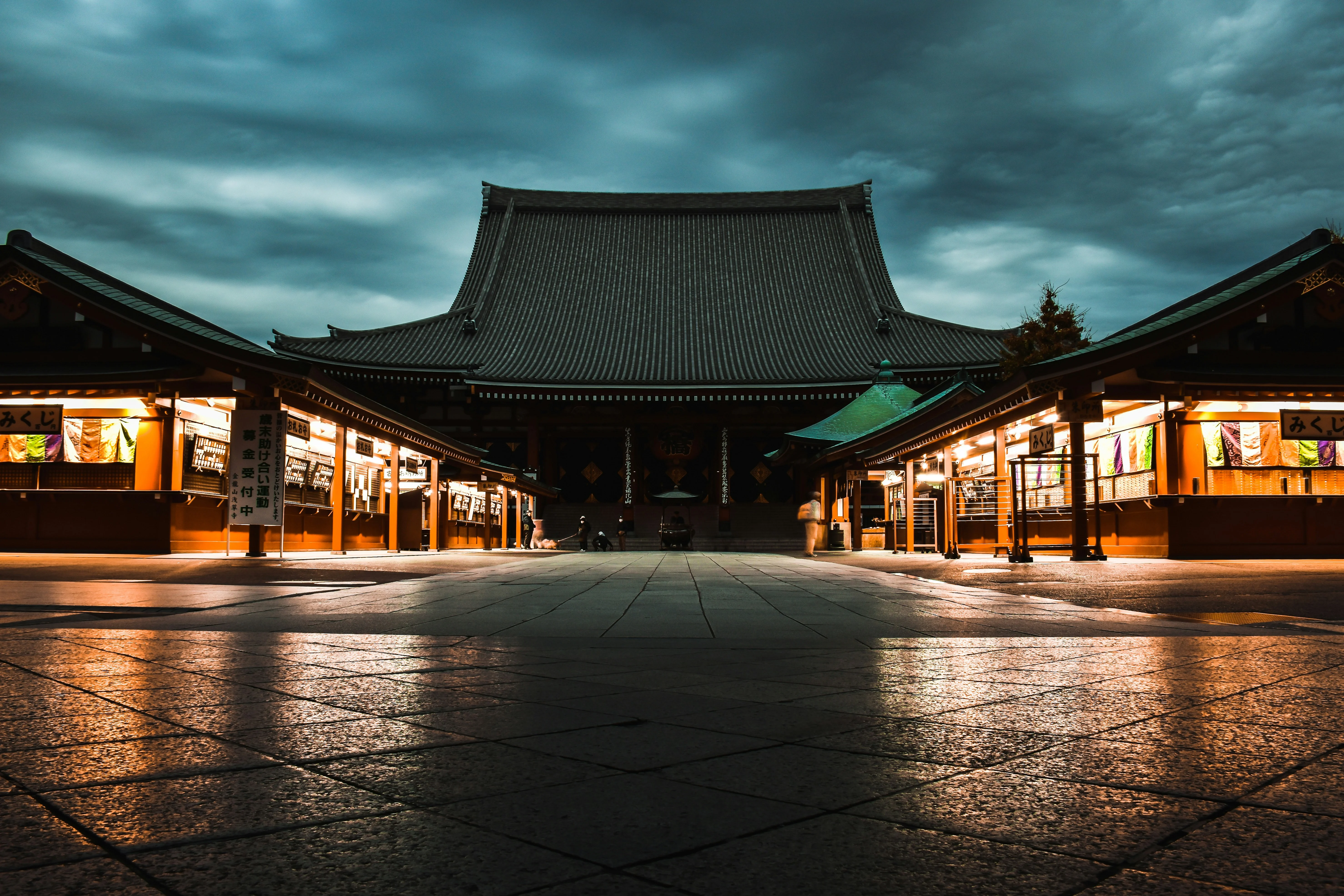 Tranquility Meets Accessibility: Tokyo's Temples and Shrines for Every Traveler