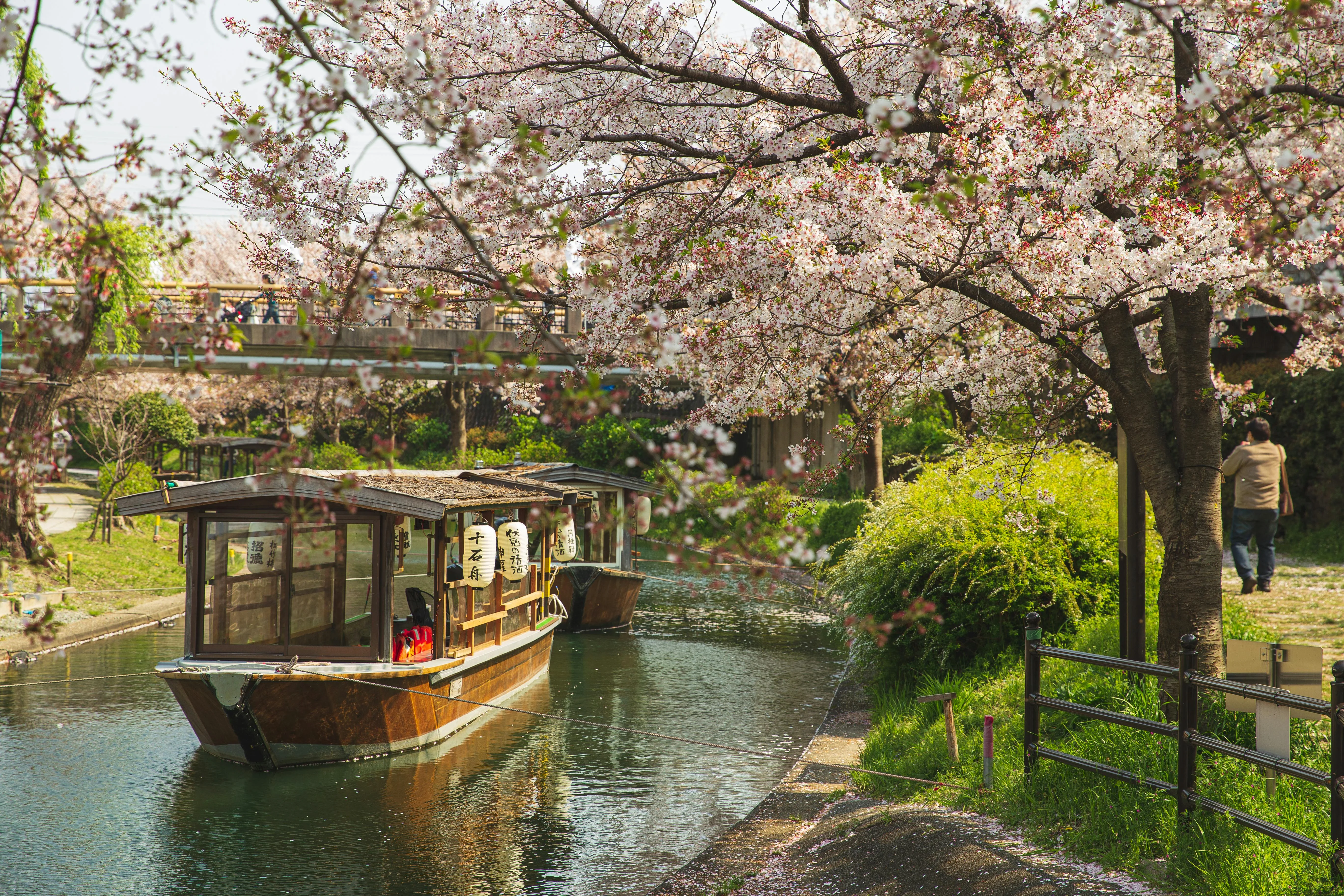 Language and Seasonal Legends: Discovering Kyoto's Folklore Image 1