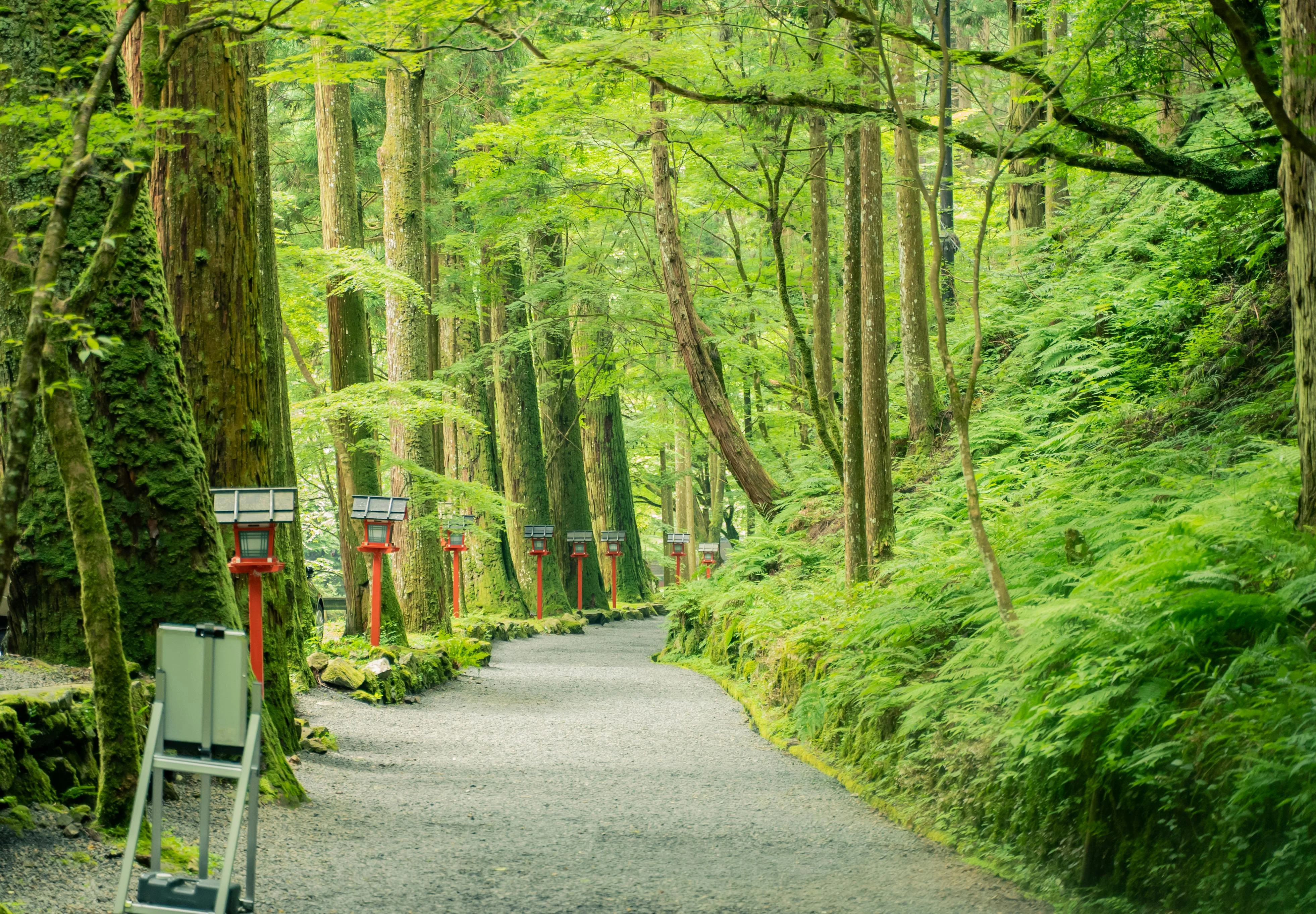 Pampered Expeditions: Five-Star Hiking Experiences in Japan Image 1