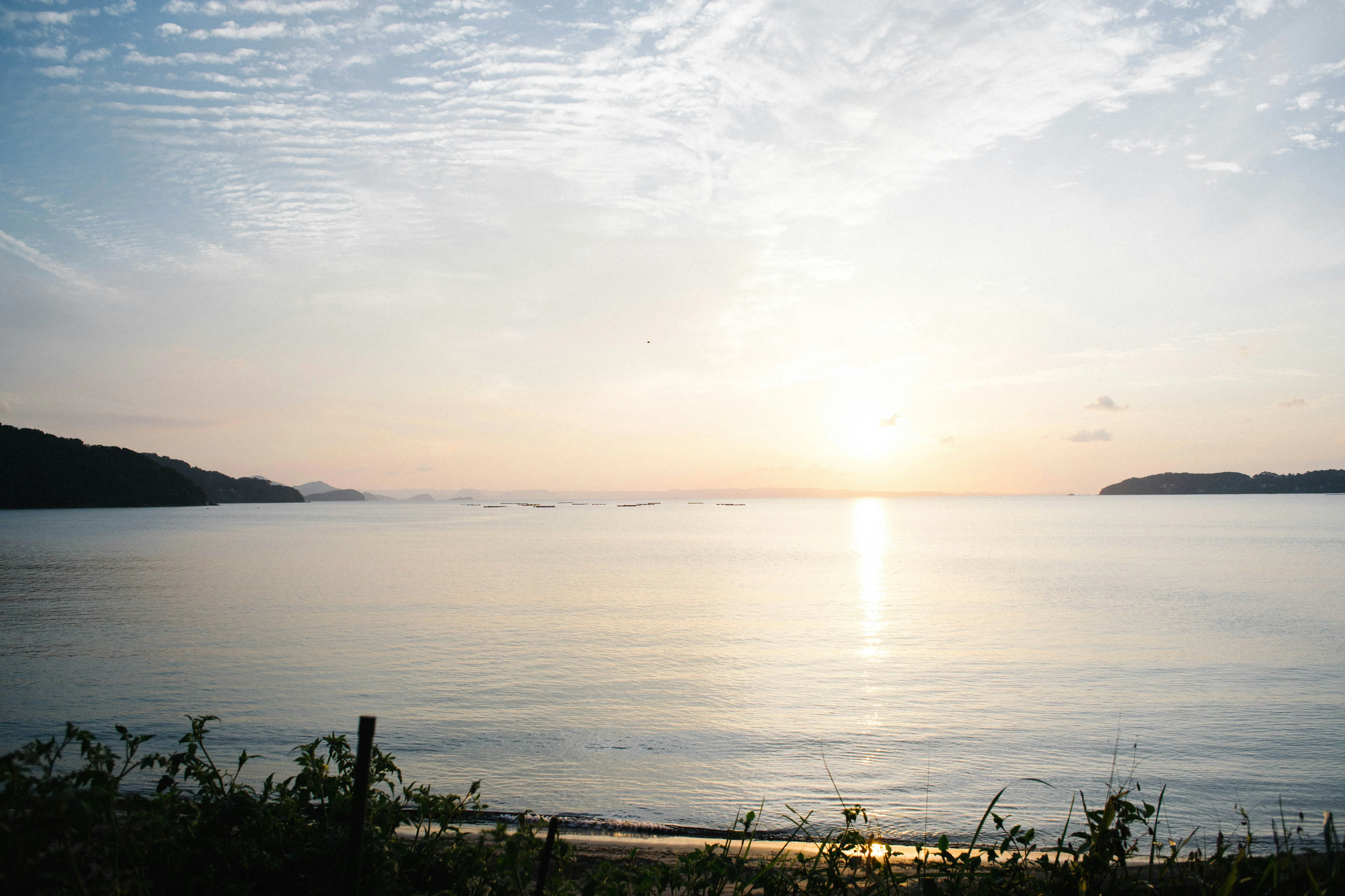 Traditional Fishing in Fukuoka: A Linguist's Perspective on Japan's Coastal Life Image 3