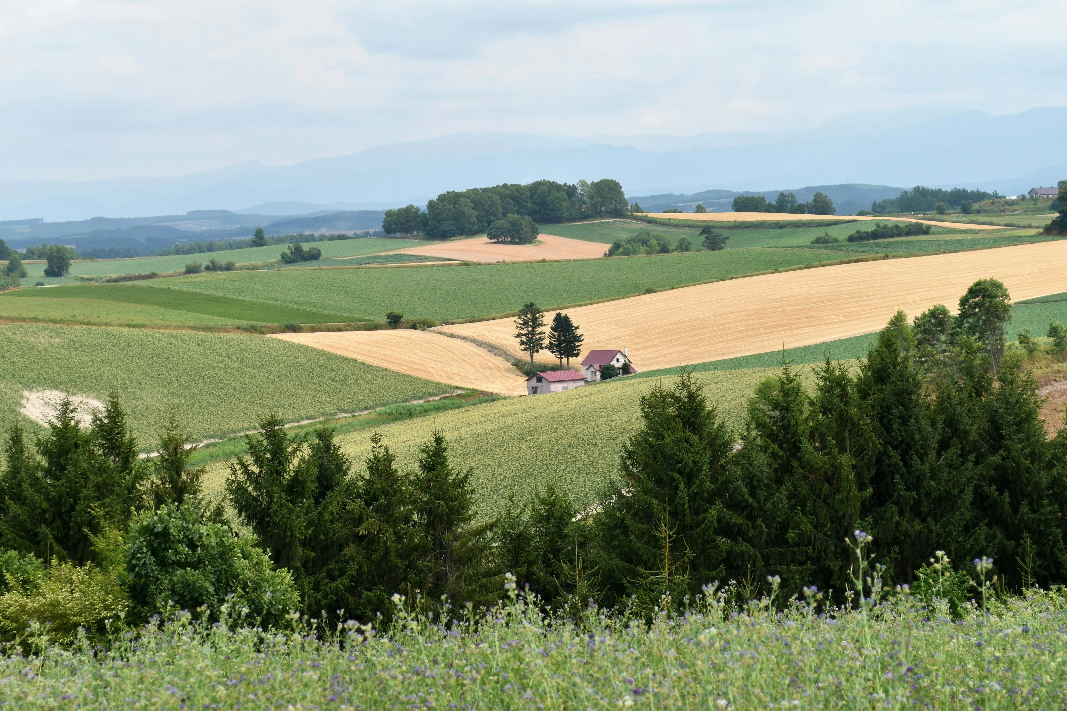 Beyond Sapporo: Small Town Charms of Rural Hokkaido Image 2