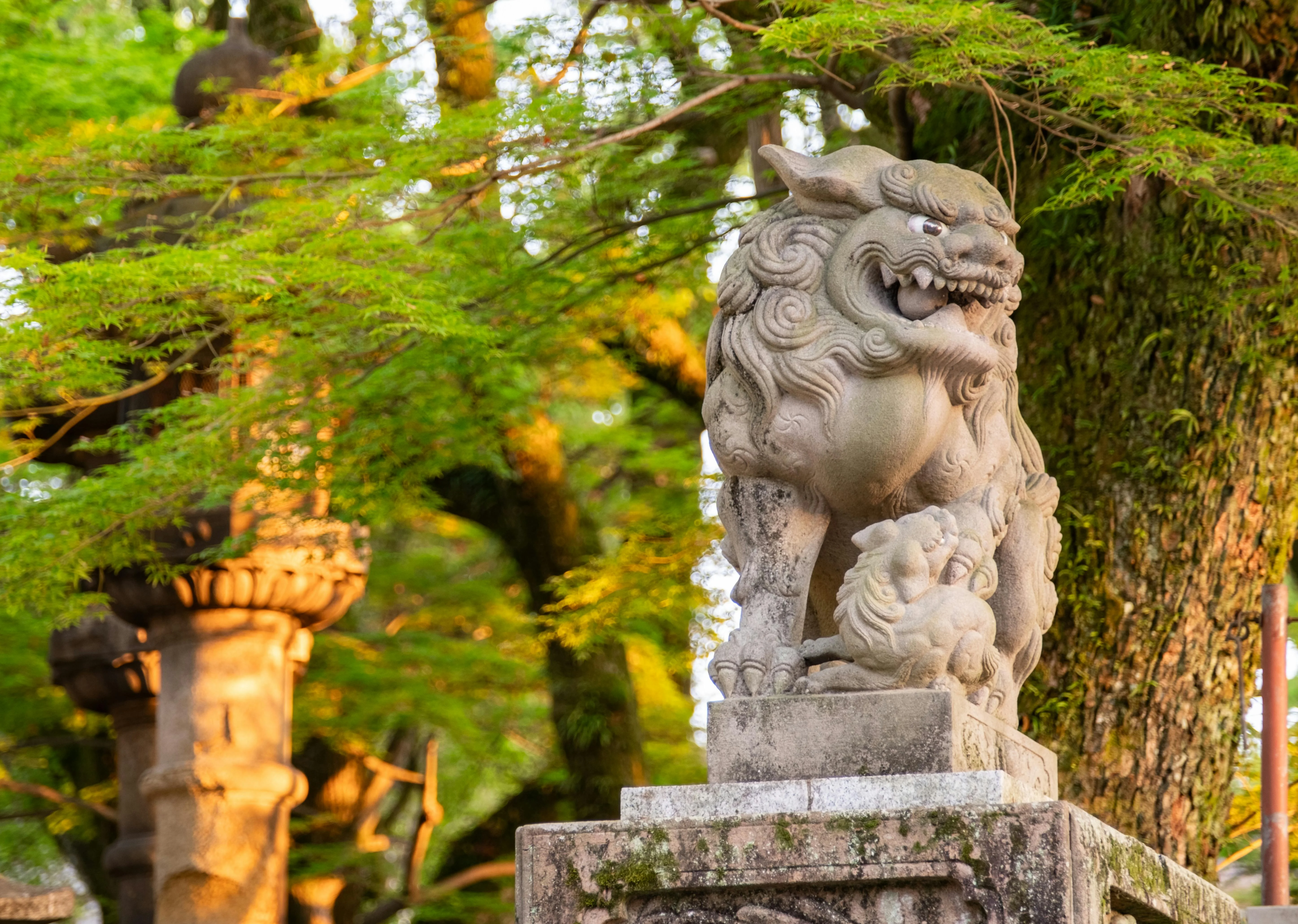 A Celebration of Life: The Colorful and Quirky Shisa Lion Dance Events Image 1