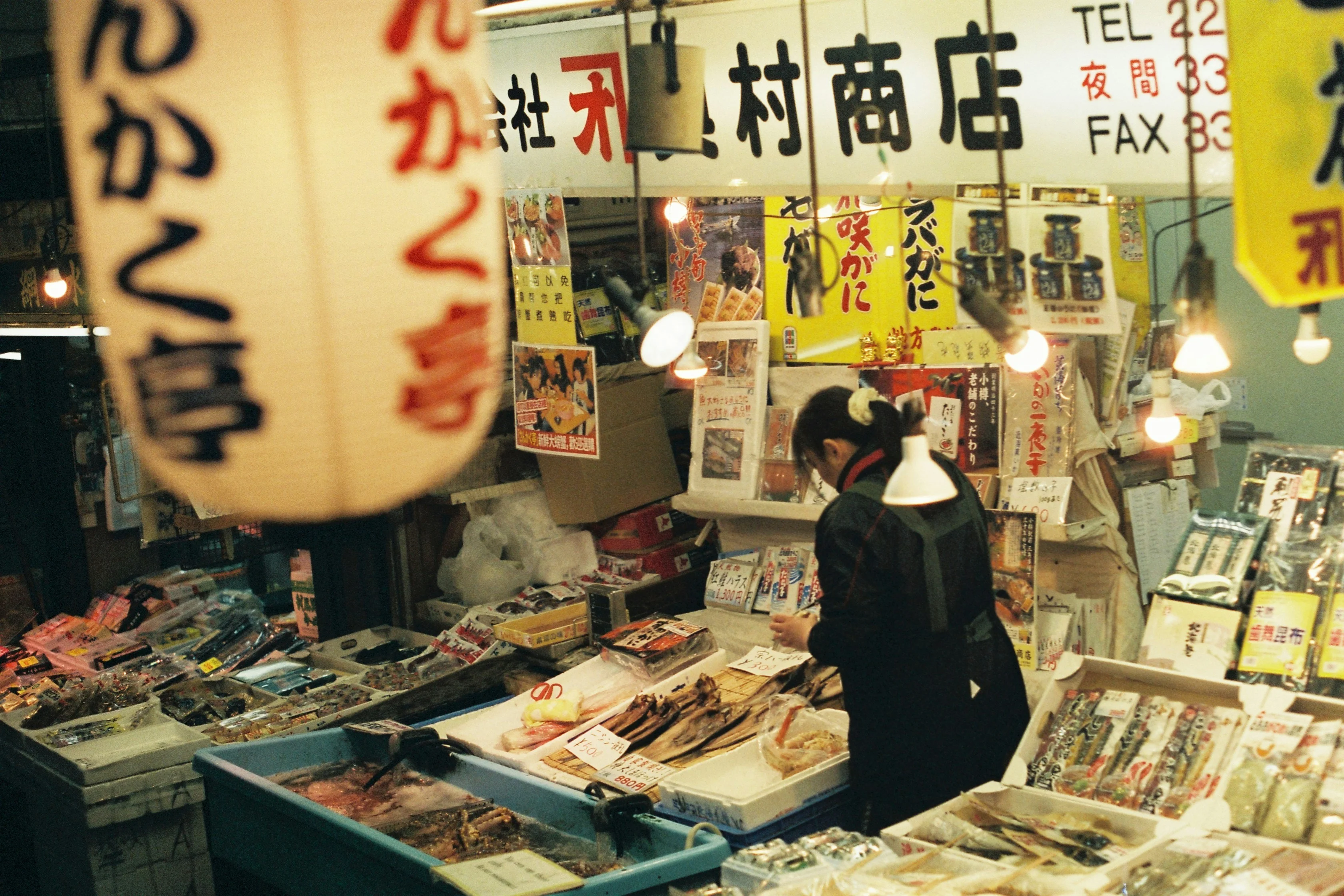 Local Life: Budget-Friendly Cultural Exchanges with Tottori Residents Image 3