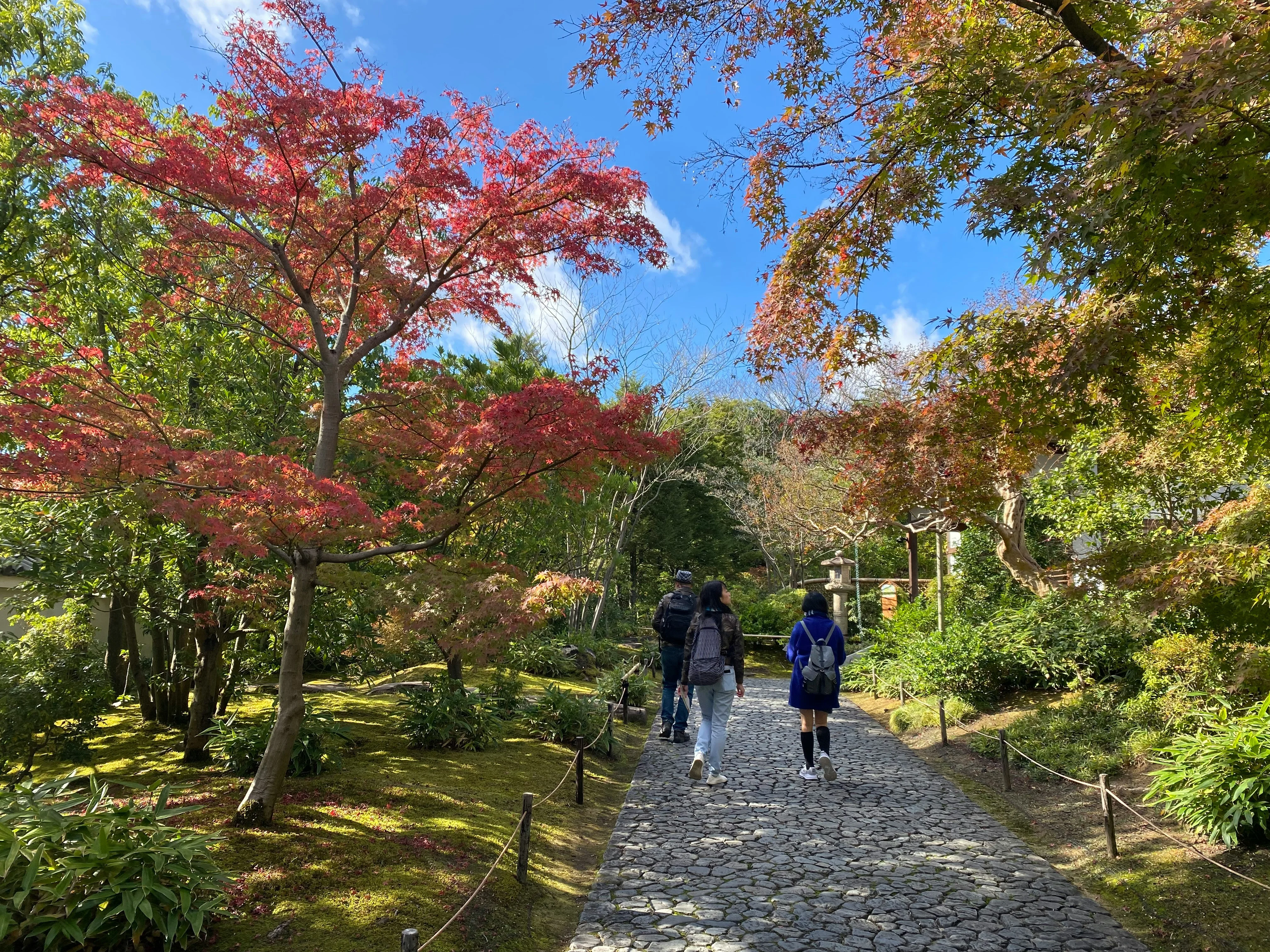 Green Oasis: Rejuvenating at Himeji's Tranquil Temple Gardens Image 3