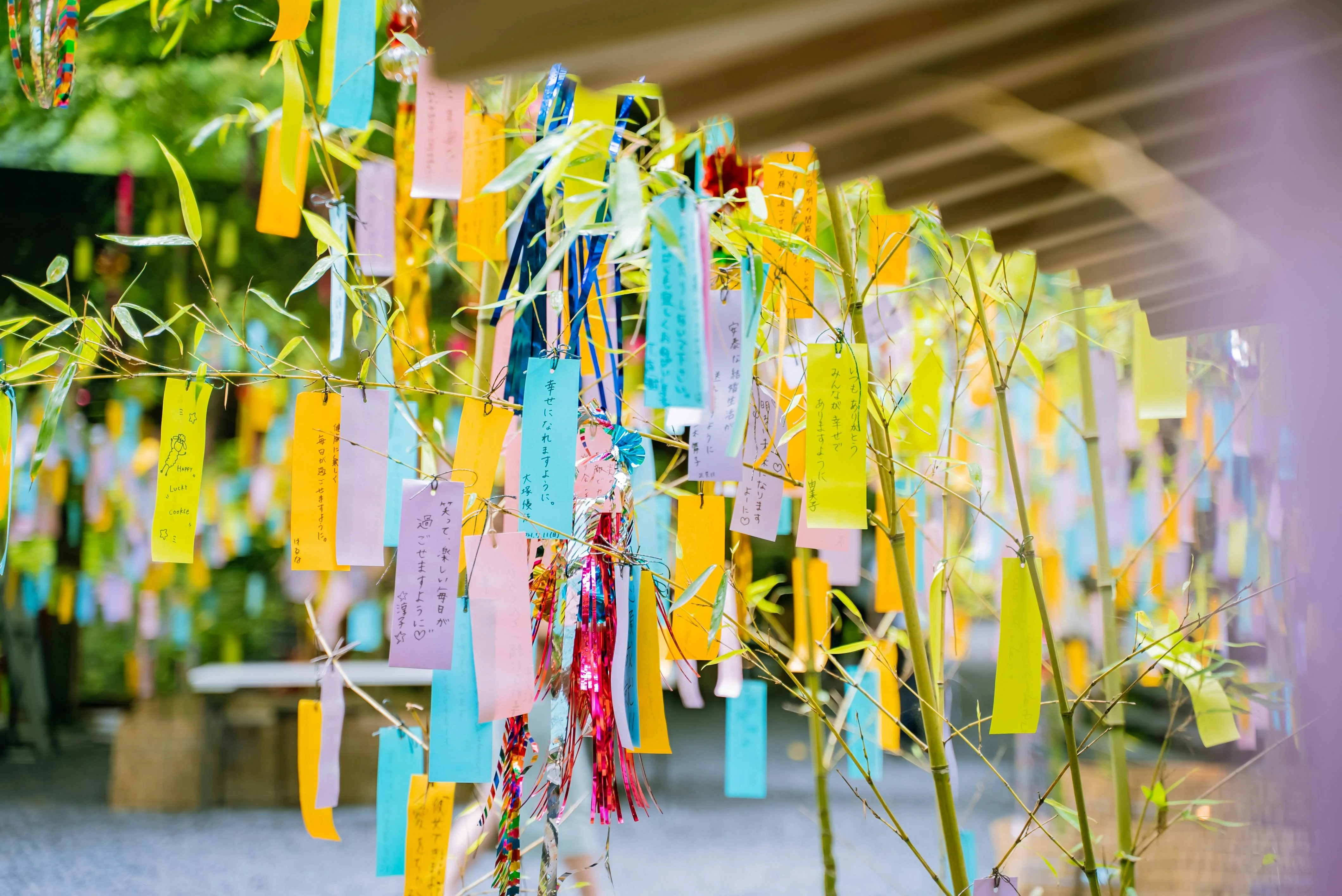 From Kimonos to Conversations: Language Insights from Kyoto's Autumn Festivals