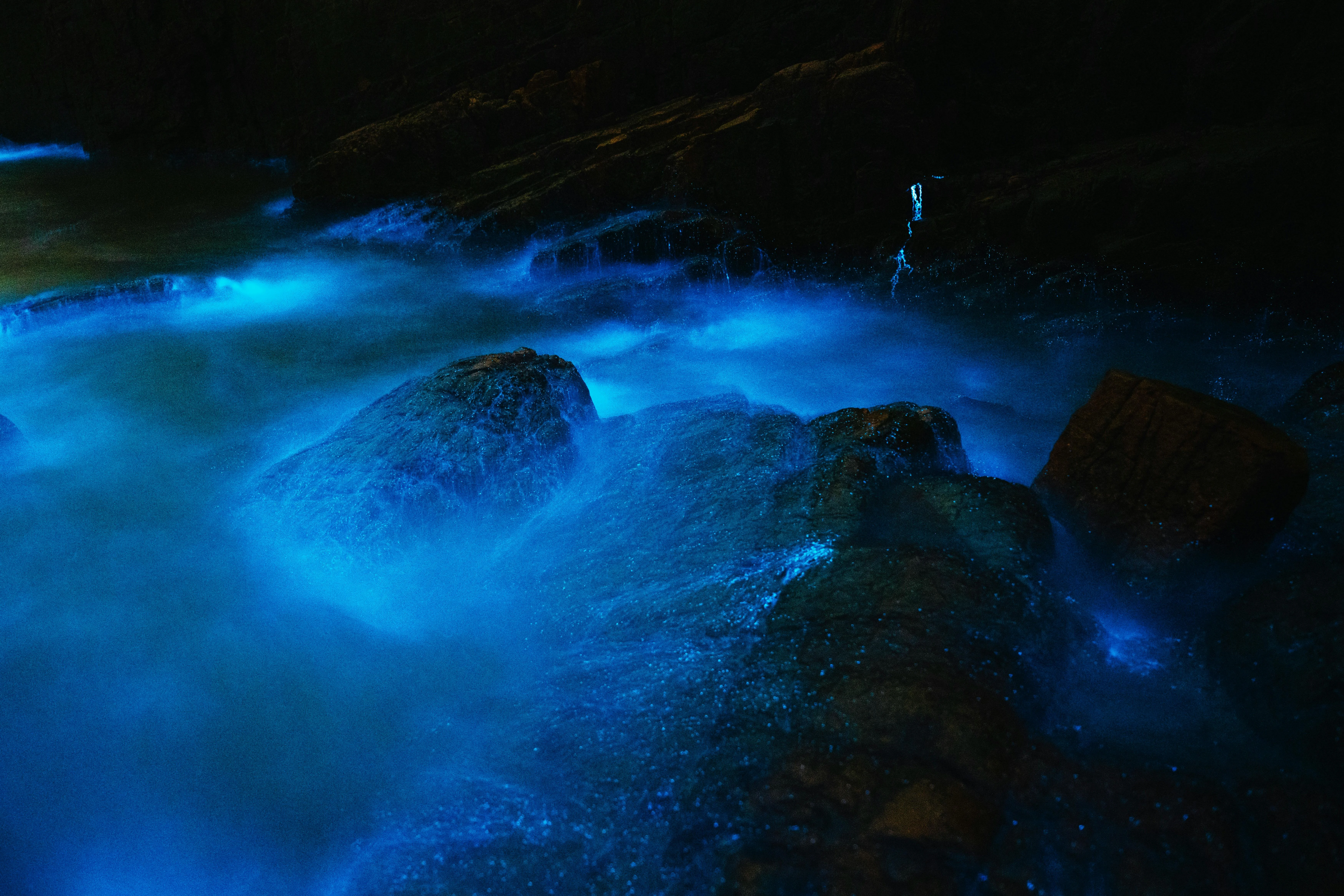 Nighttime Wonders: Bioluminescent Plankton and Evening Adventures in Fukuoka Image 2