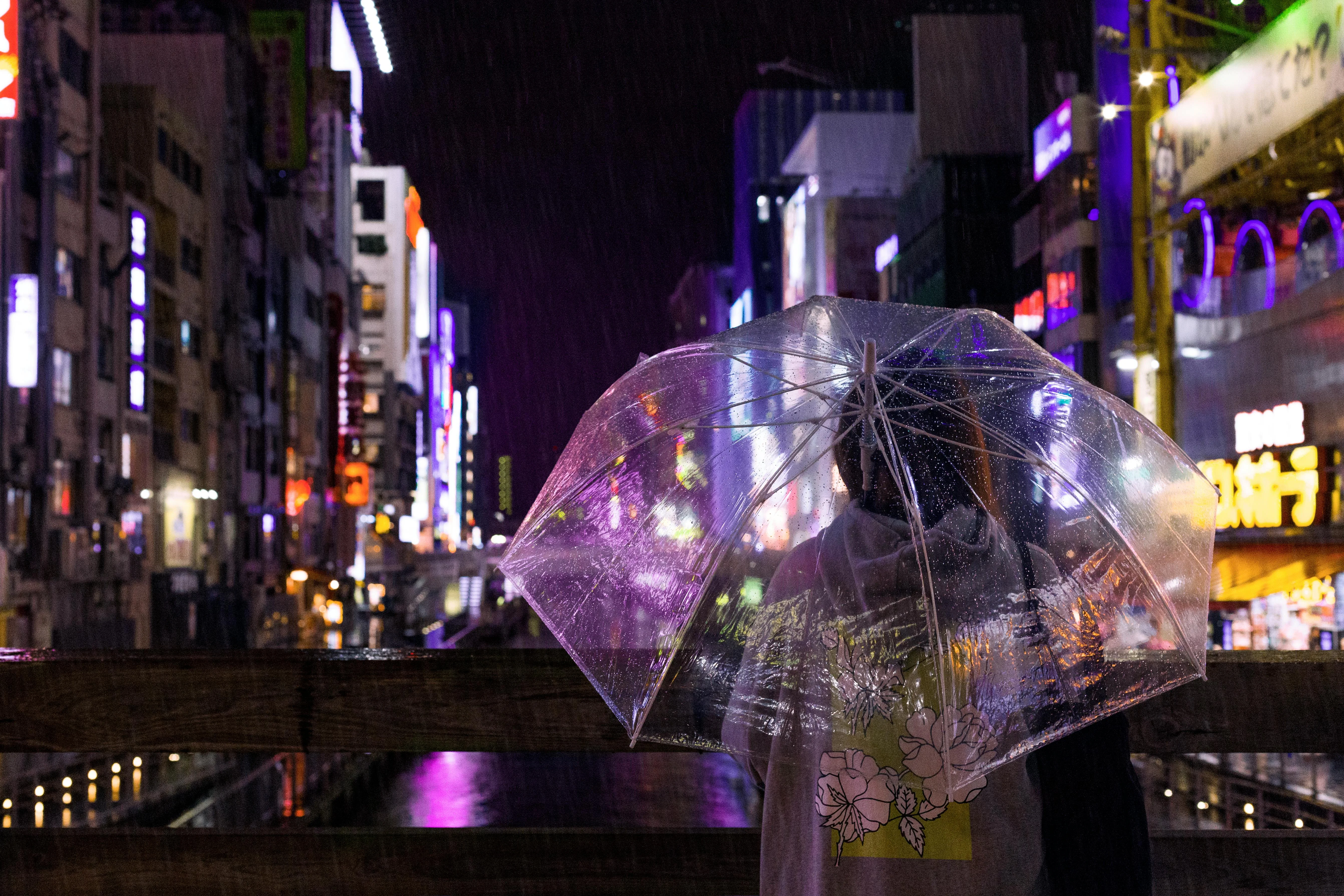 Nighttime Wonders: Bioluminescent Plankton and Evening Adventures in Fukuoka Image 3