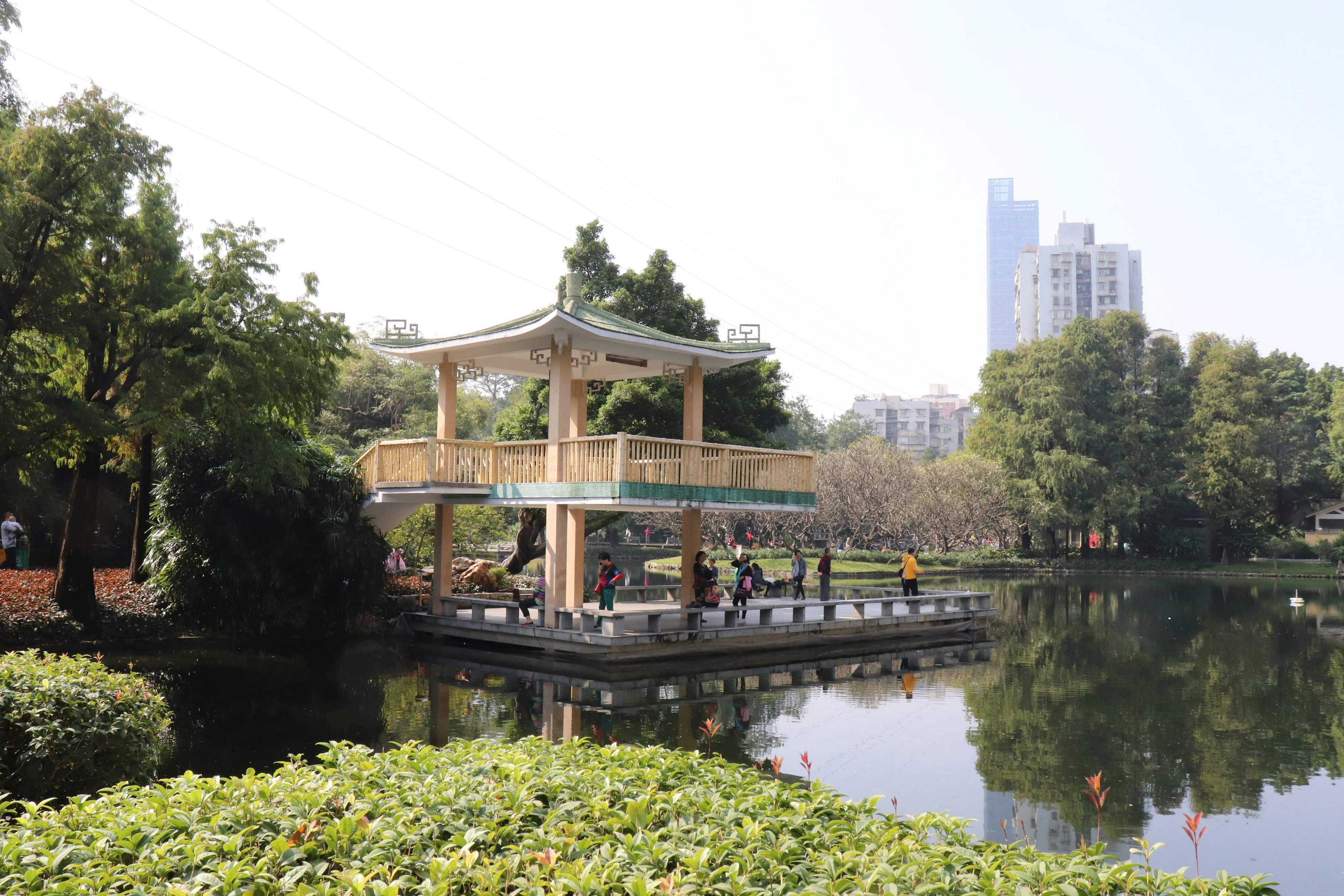 Nature's Palettes: Capturing the Seasonal Changes in Guangzhou's Parks Image 1