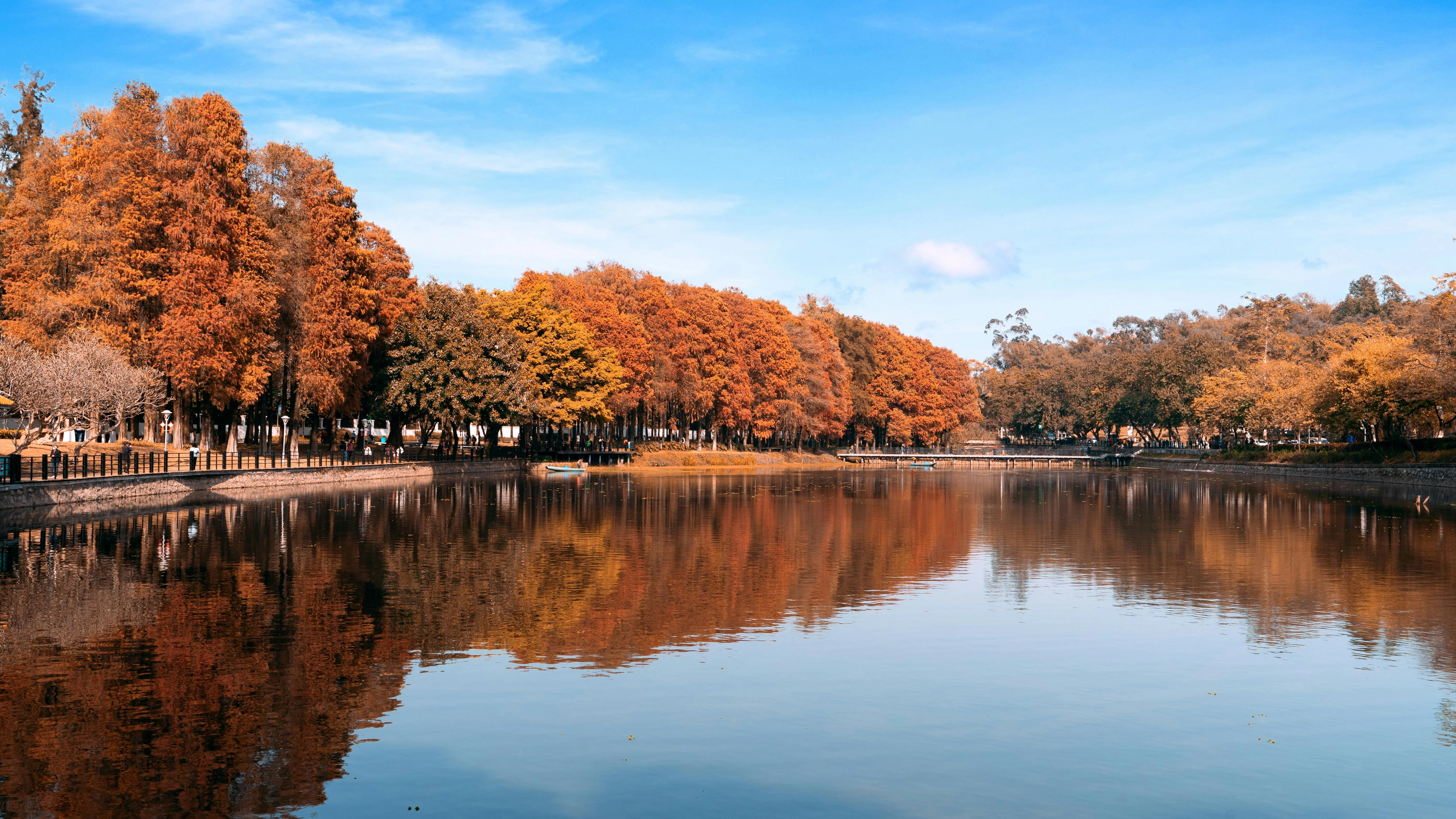 Nature's Palettes: Capturing the Seasonal Changes in Guangzhou's Parks Image 2