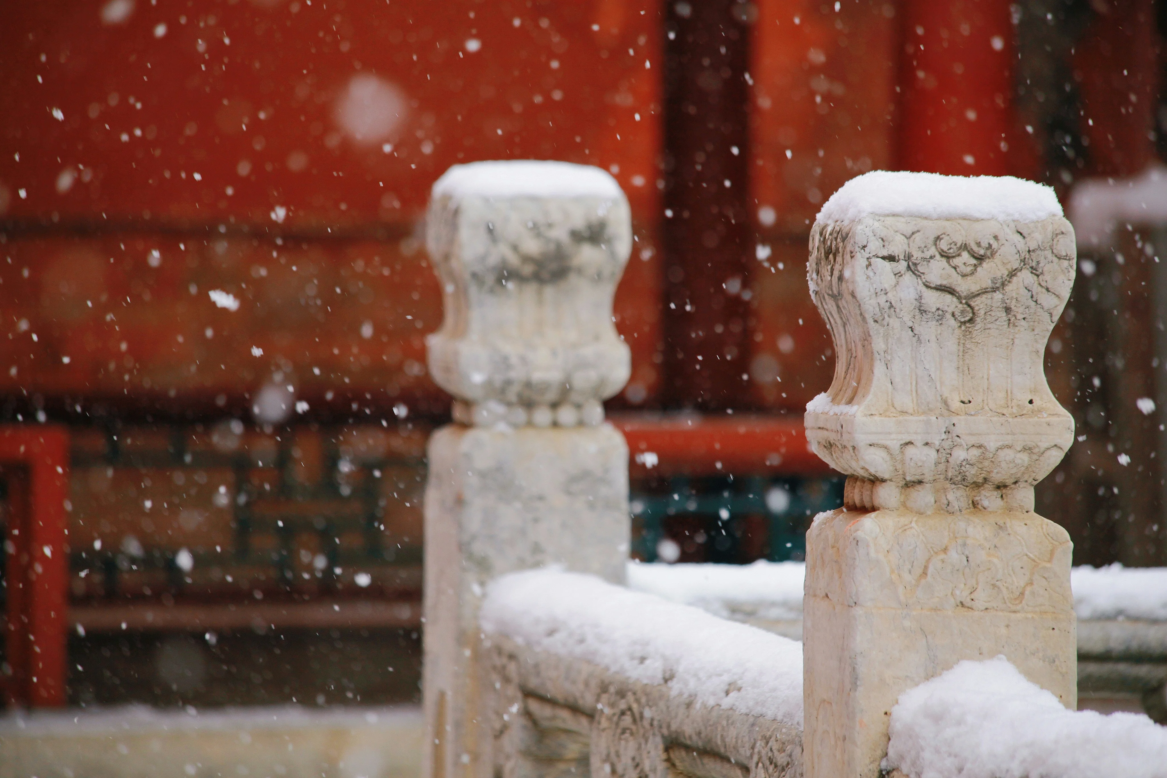 Nature's Palettes: Capturing the Seasonal Changes in Guangzhou's Parks Image 3