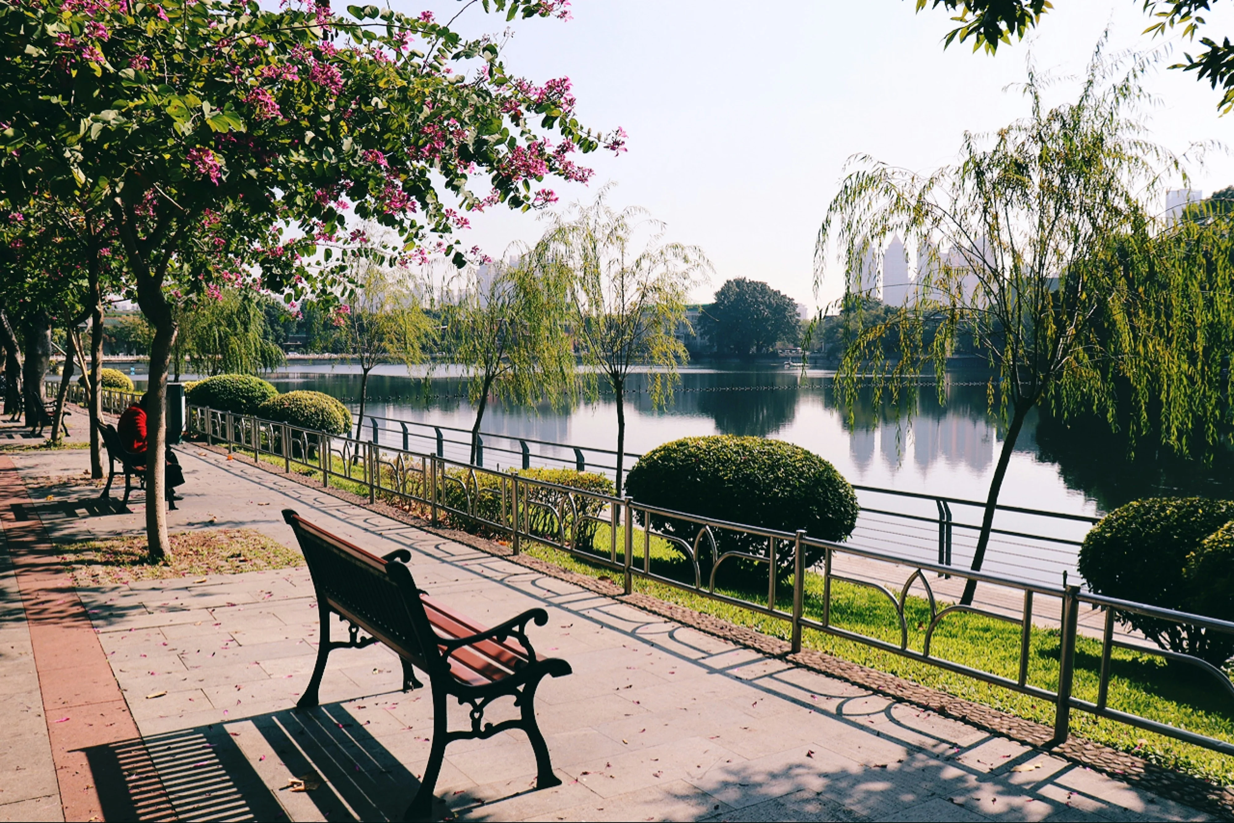 Nature's Palettes: Capturing the Seasonal Changes in Guangzhou's Parks