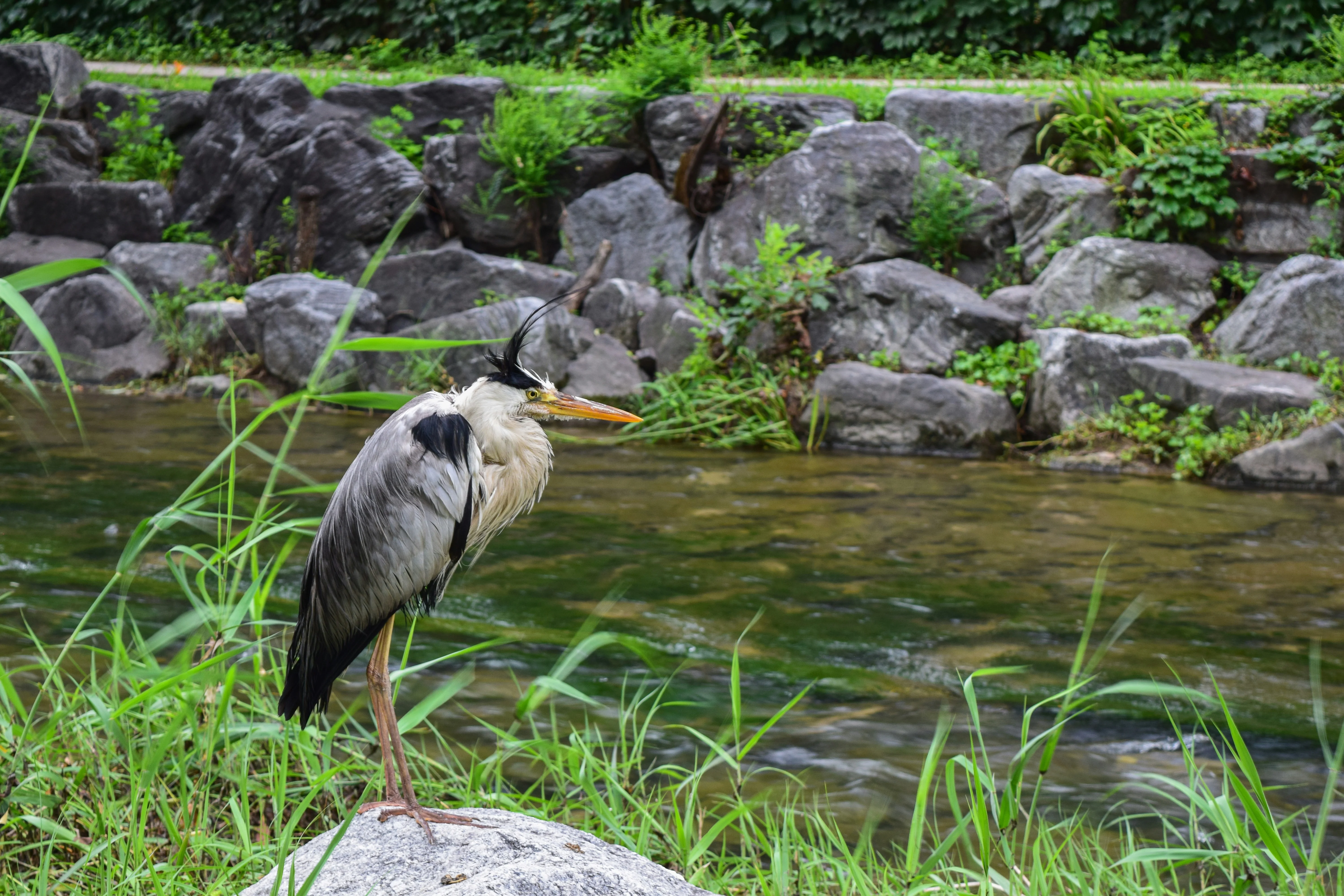 Green Lenses: Discovering Seoul's Sustainable Beauty through Photography Image 1