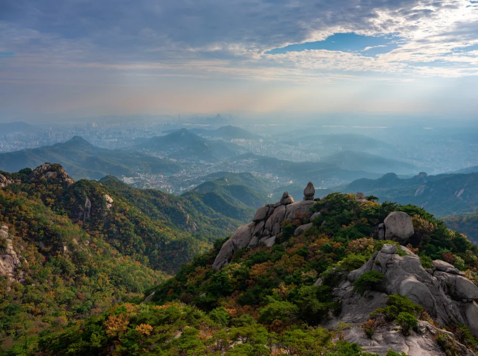 Green Lenses: Discovering Seoul's Sustainable Beauty through Photography