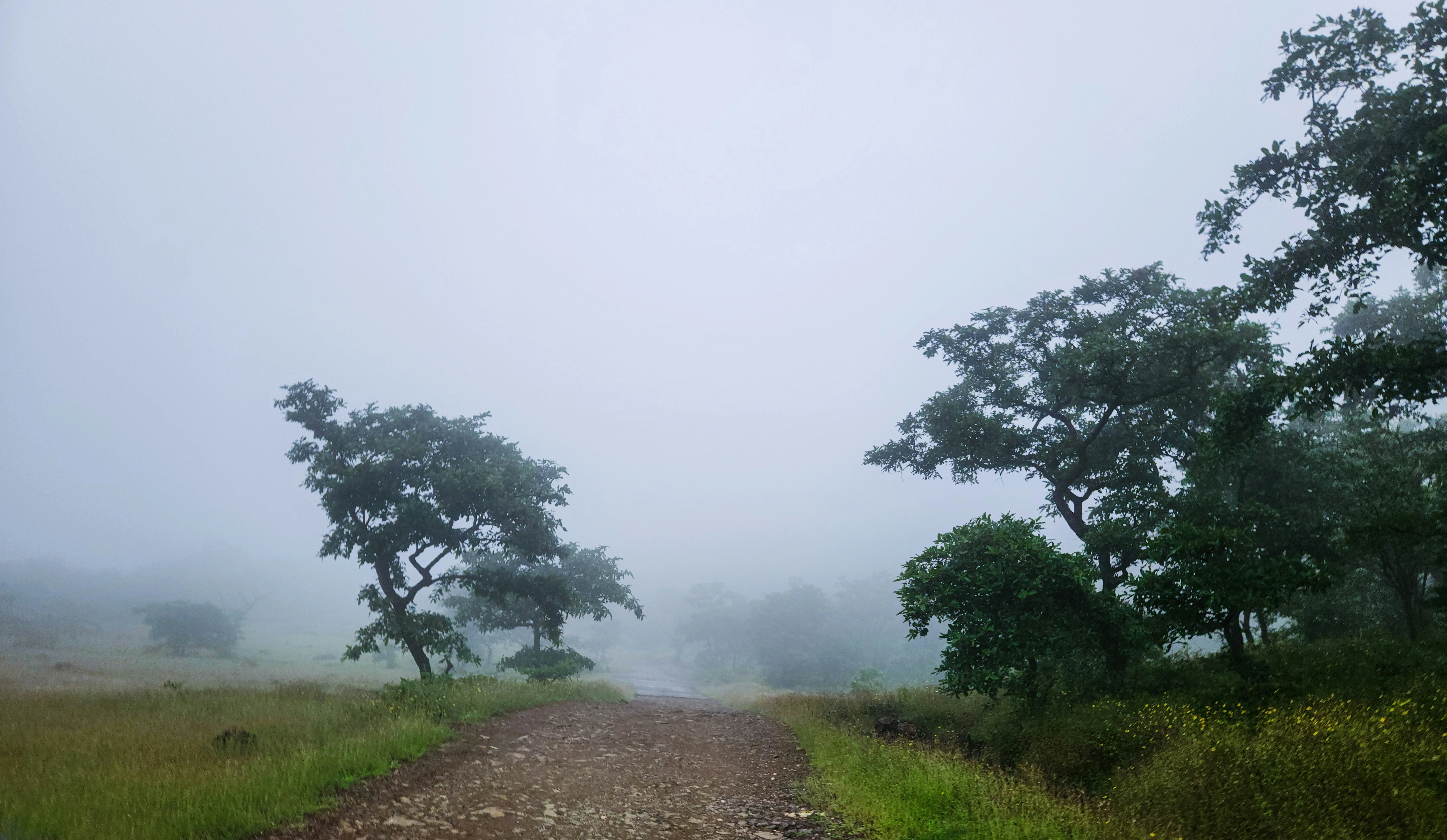 Spiritual Sojourn: Road Trips from Mumbai to Lonavala and Khandala