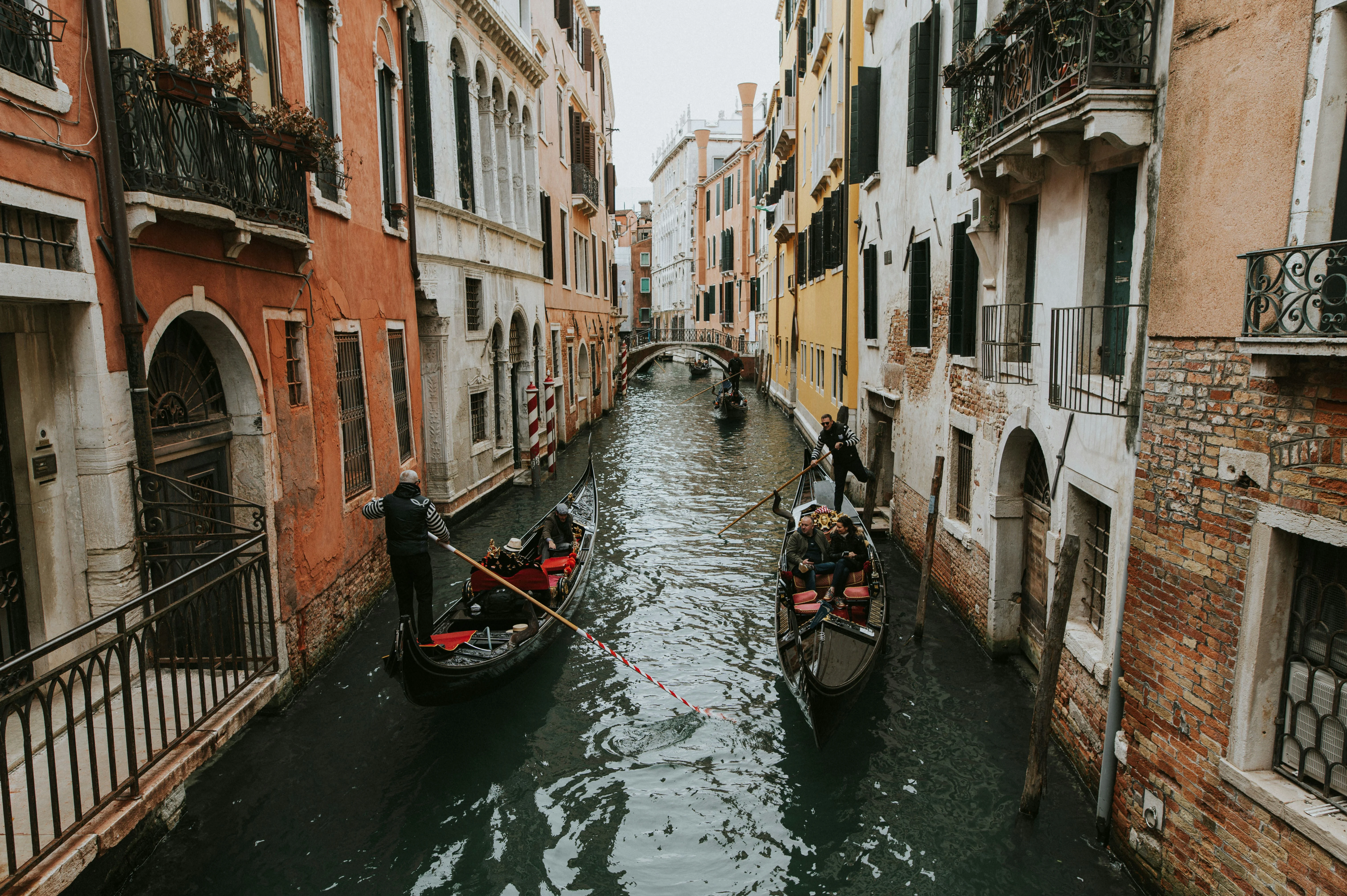 The Venetian Lagoon: A Weekend Adventure in Nature image 1