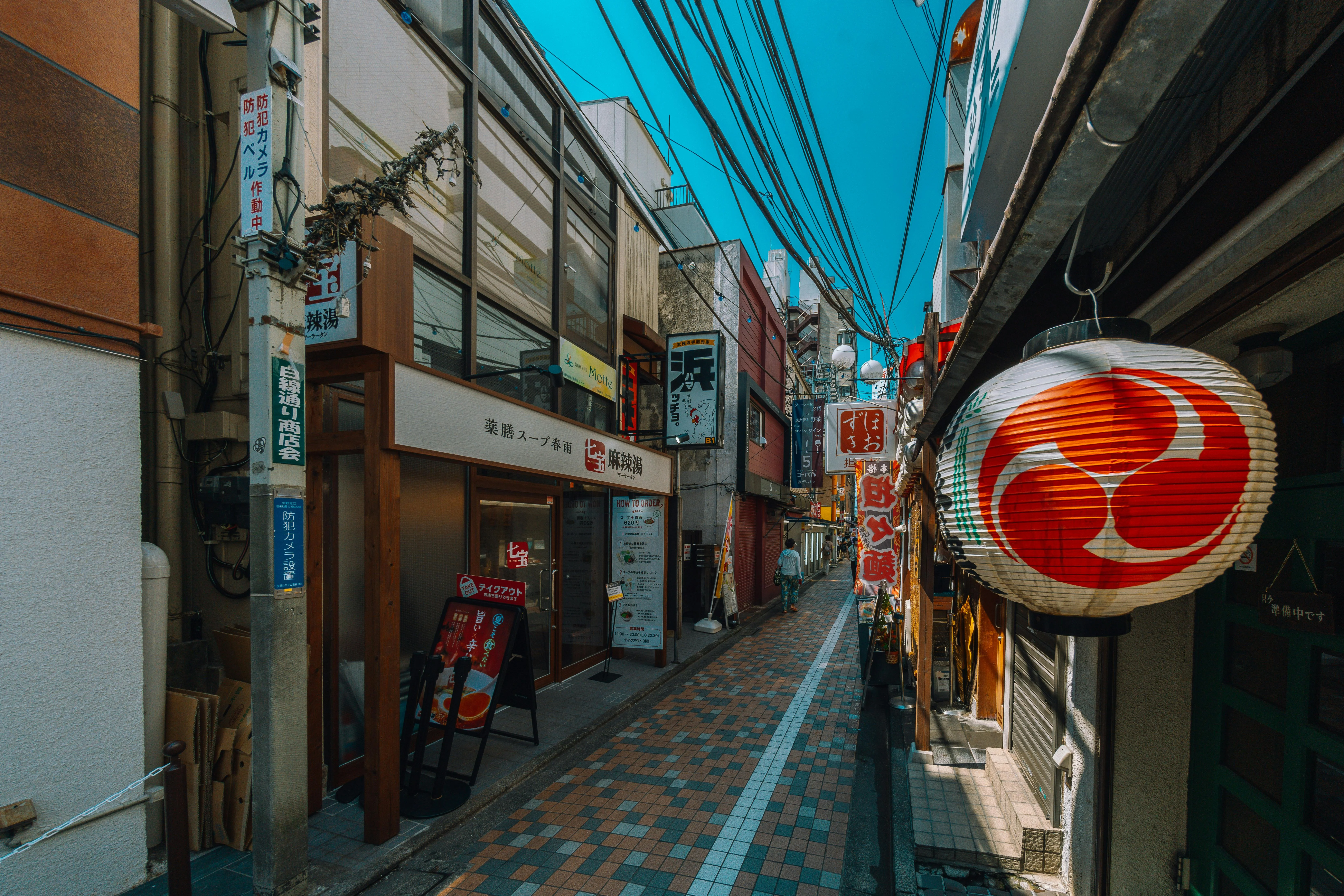 Urban Adventures: A Backpacker's Guide to Sapporo's Quirky Cafes