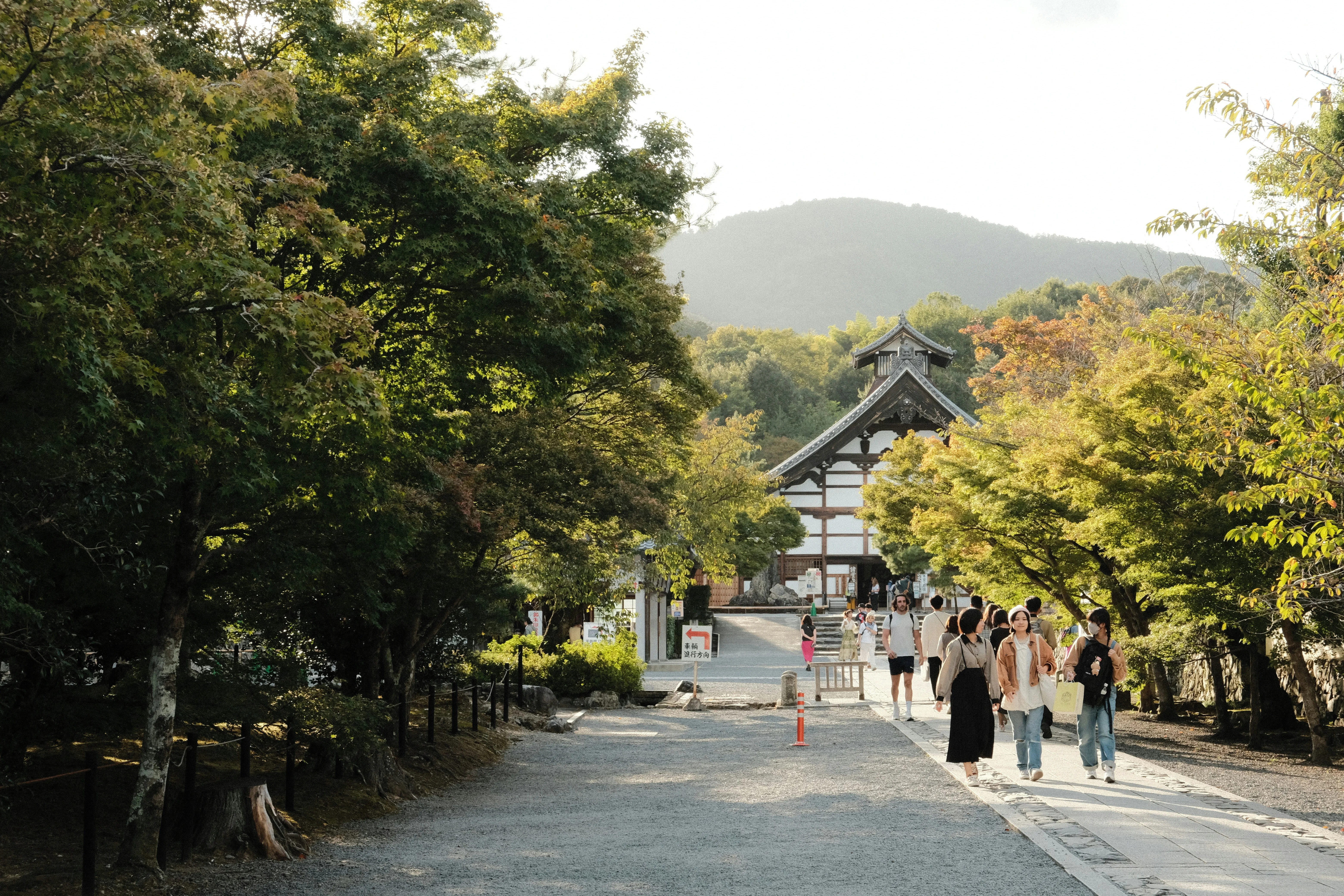 Refresh Your Spirit: Discovering Zen Gardens and Tea Houses in Osaka Image 1