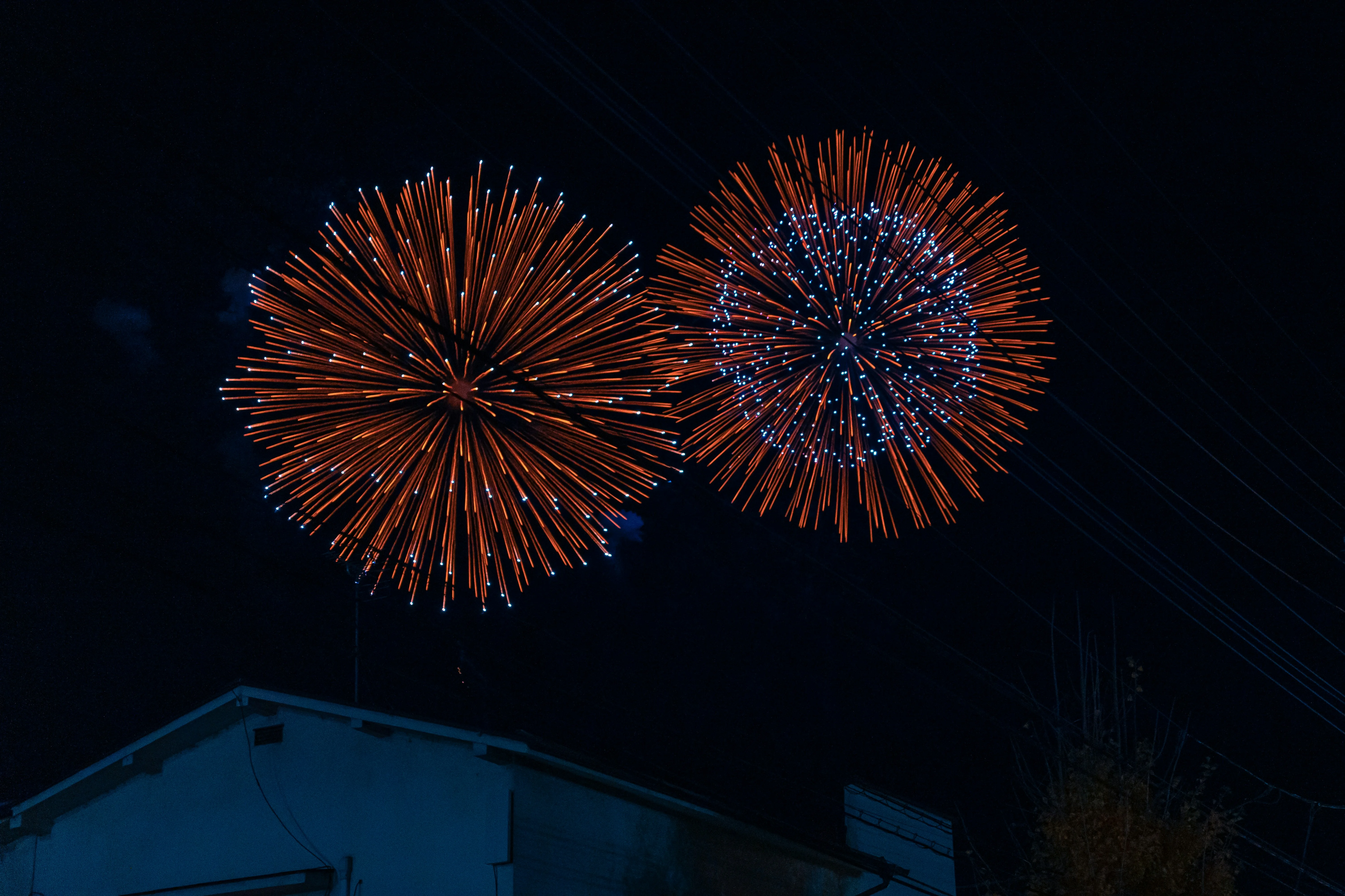 Harmonizing with Nature: The Best Okinawan Festivals Celebrating the Natural World Image 2