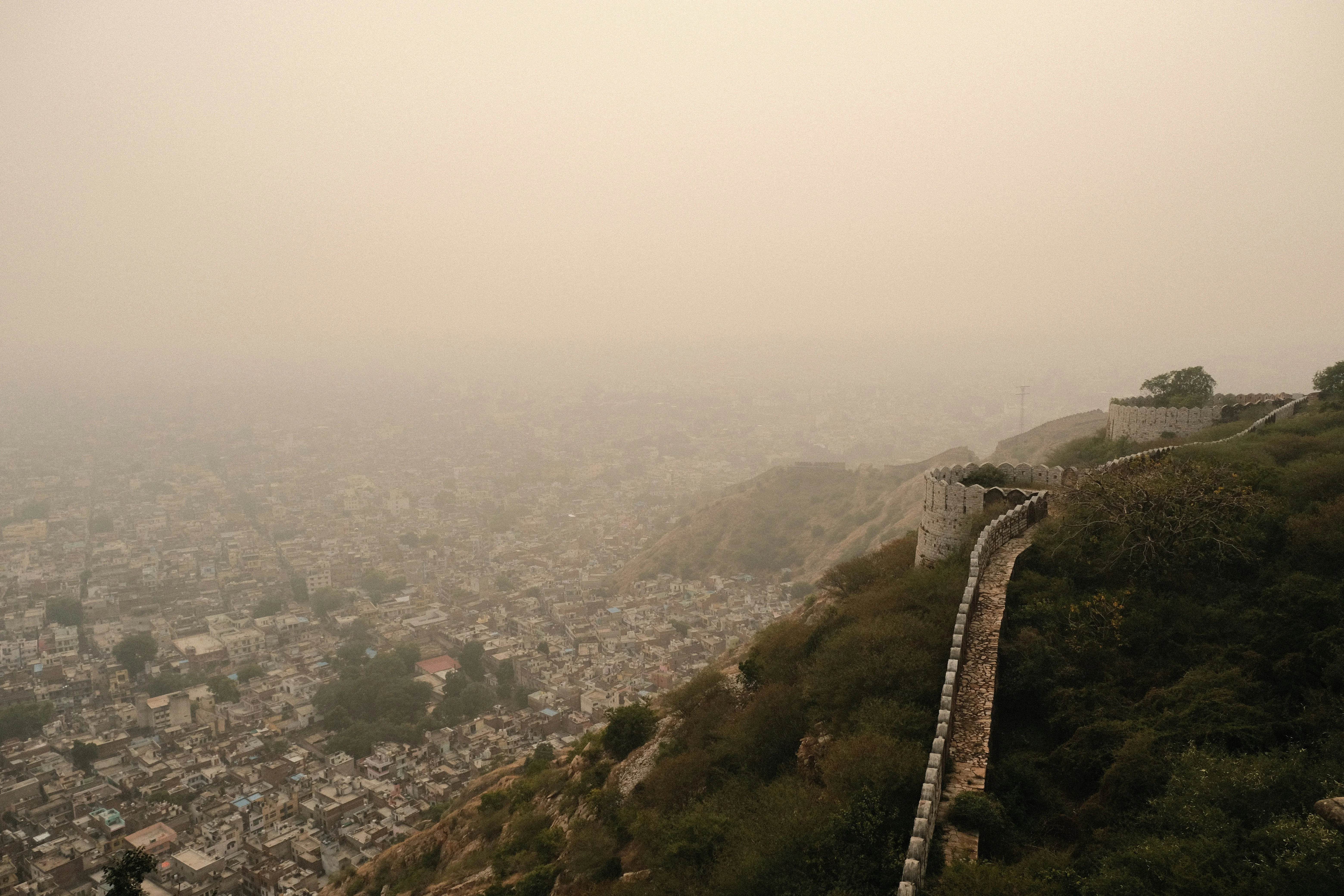 The Art of Getting Lost in Jaipur's Alleyways: Solo Travelers and Pets Go Off the Beaten Path