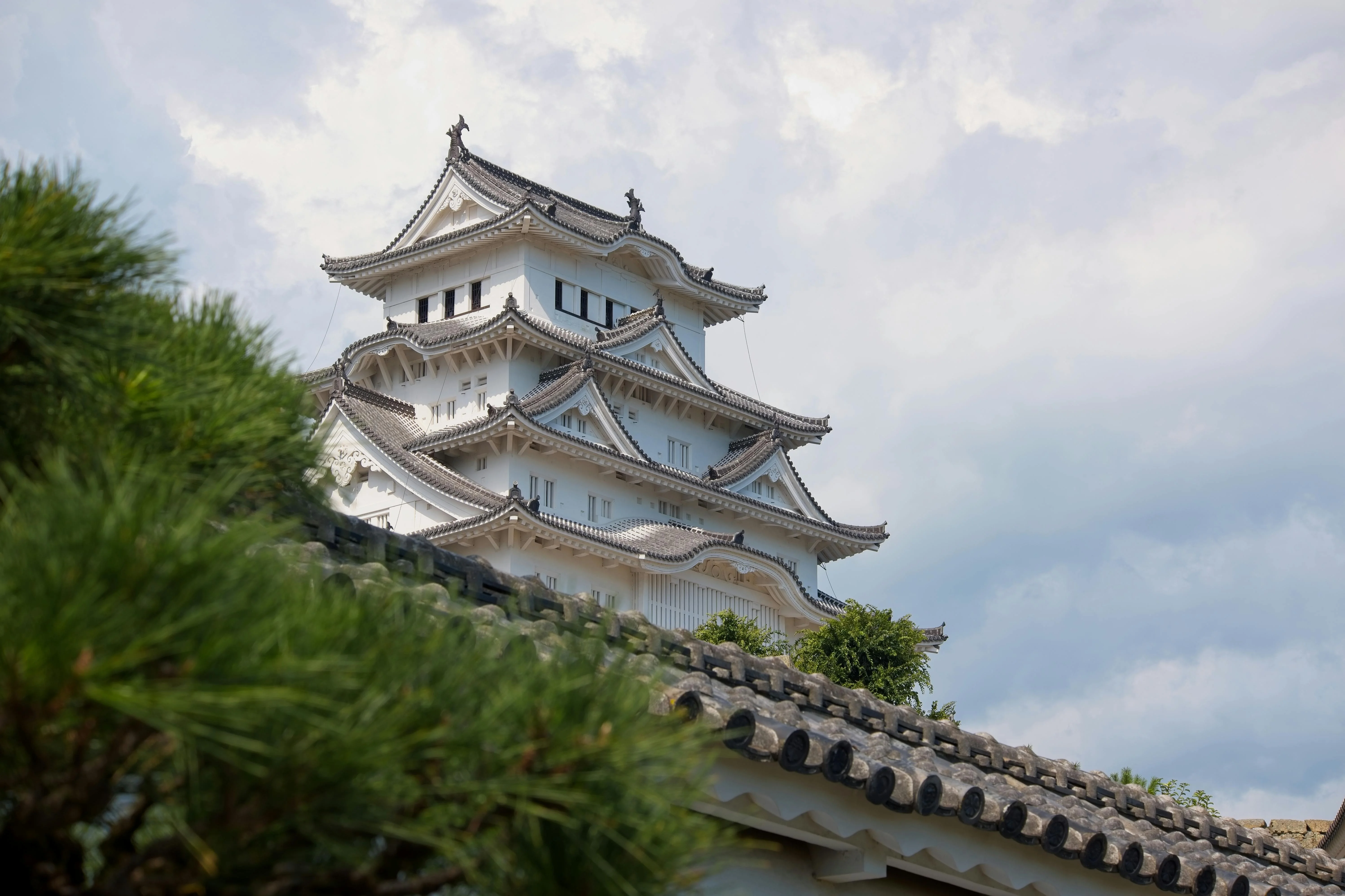 Conserving the Past: Sustainable Wildlife Practices in Himeji image 1