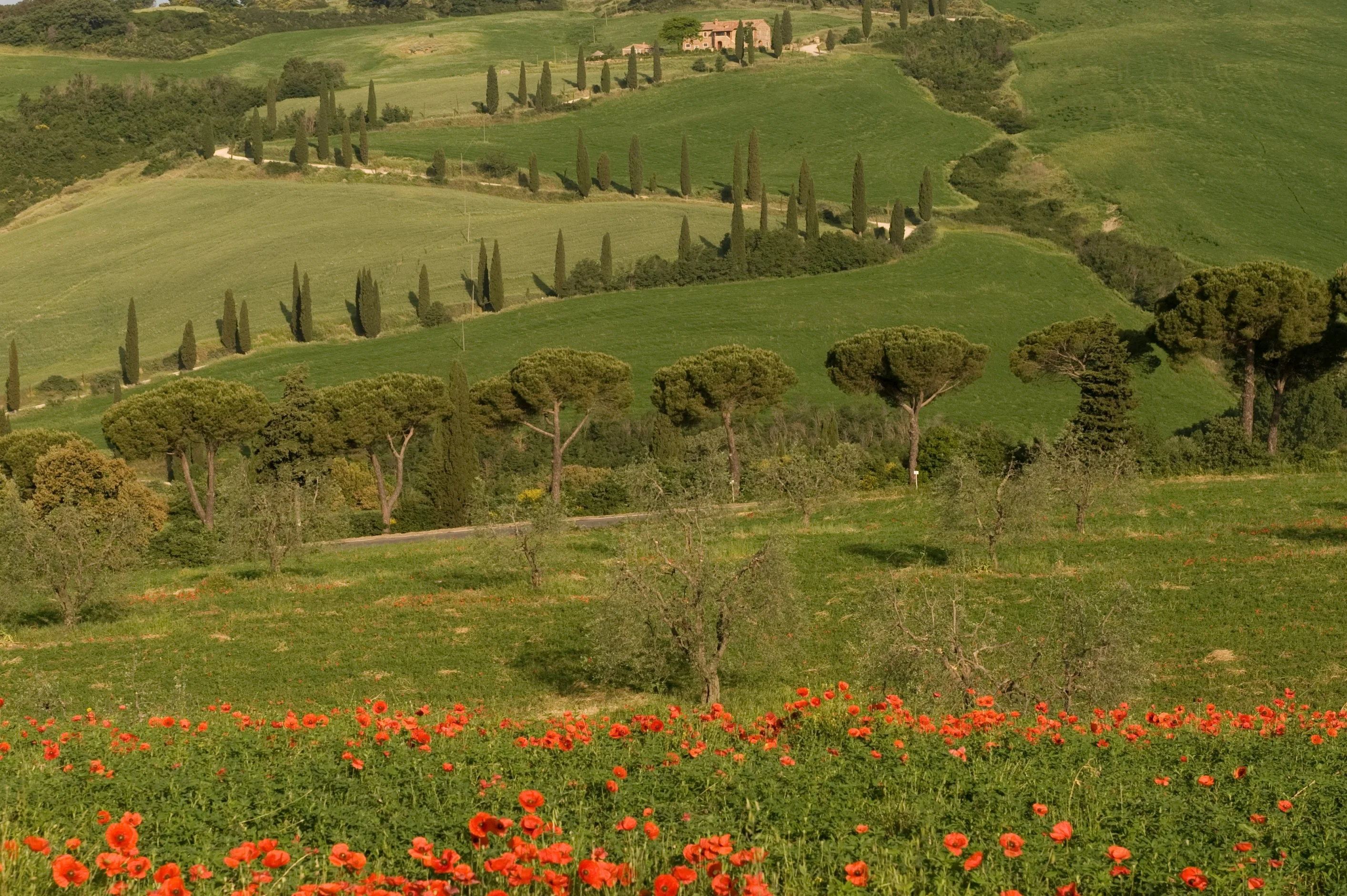 Tuscan Countryside: A Luxurious Escape for the Soul