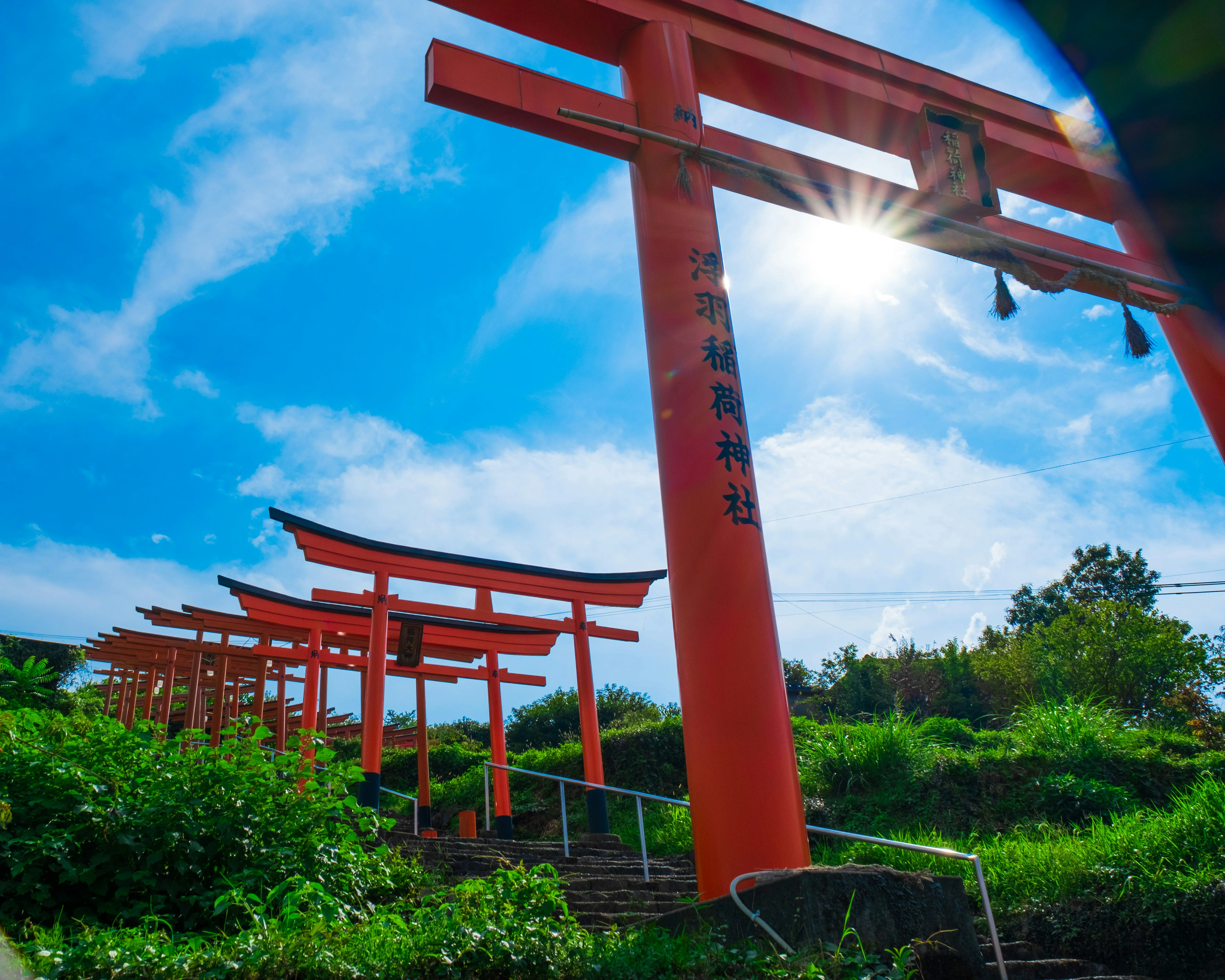 Shinto Shrines and Sacred Groves: Nature's Language in Japan's Spiritual Landscapes