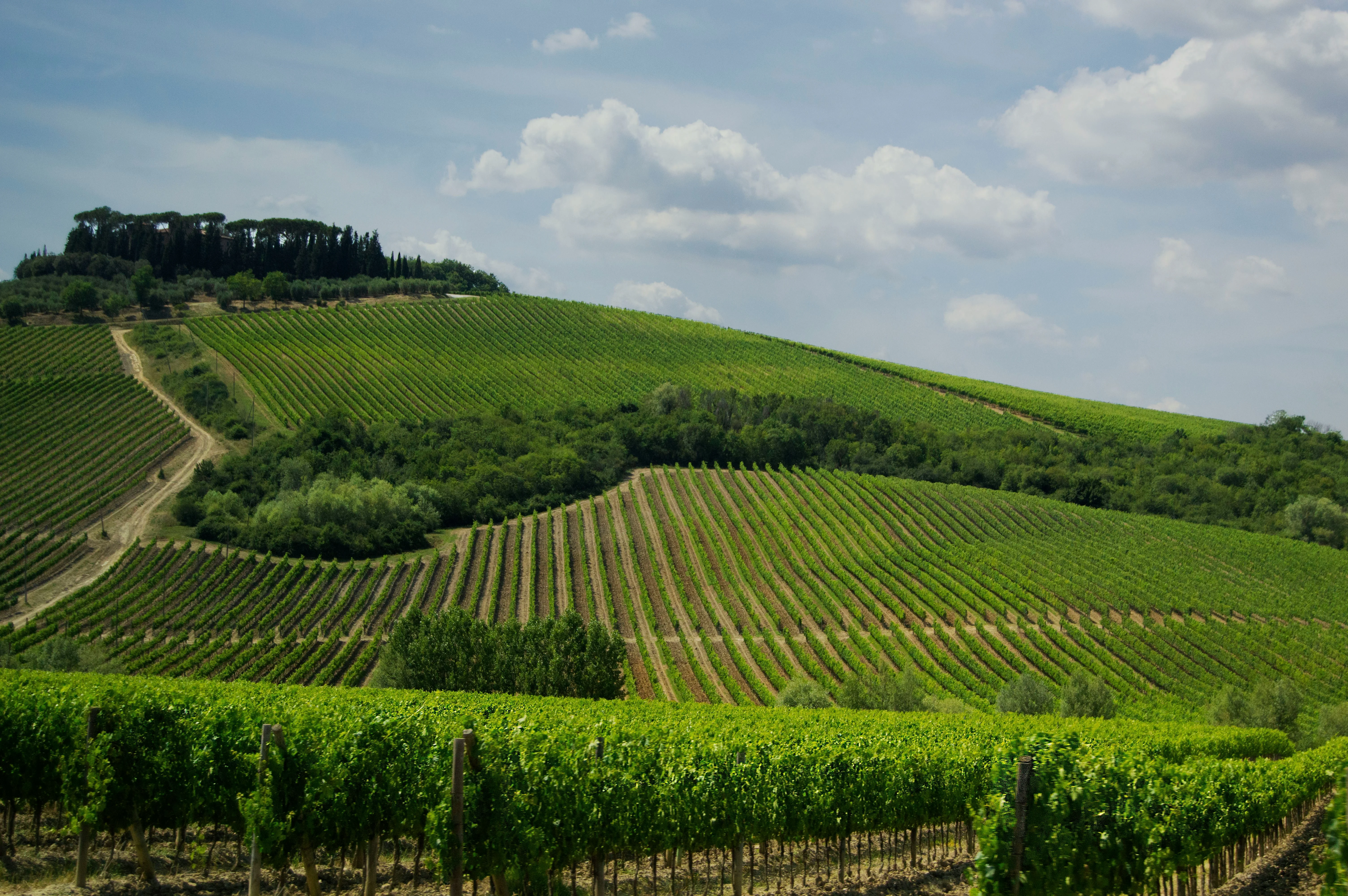 Milan's Romantic Vineyards: A Couple's Adventure Through Lombardy's Wine Trails Image 1