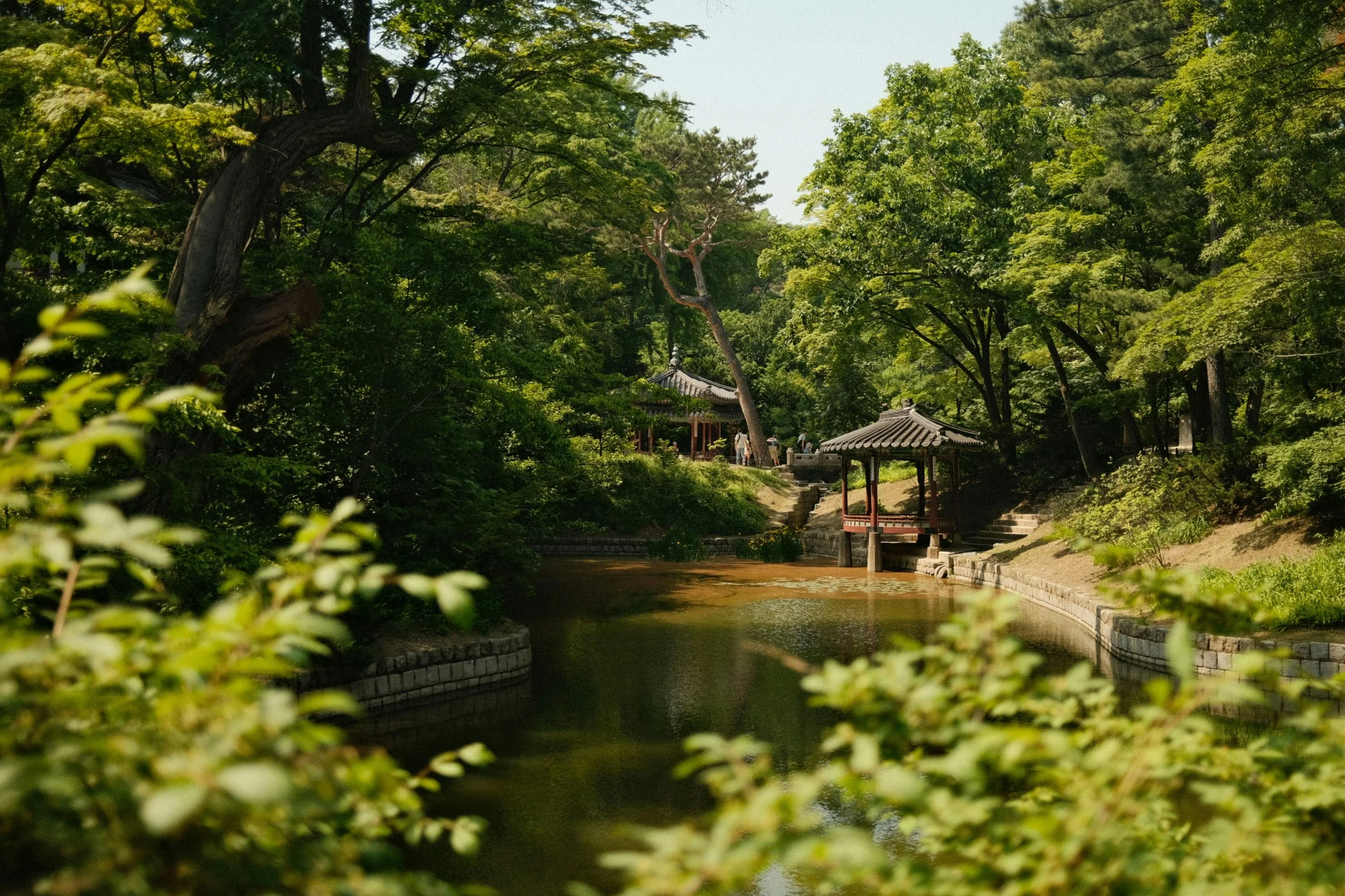 Seoul's Eco Guardians: Where Conservation Meets Captivation in Photos Image 2