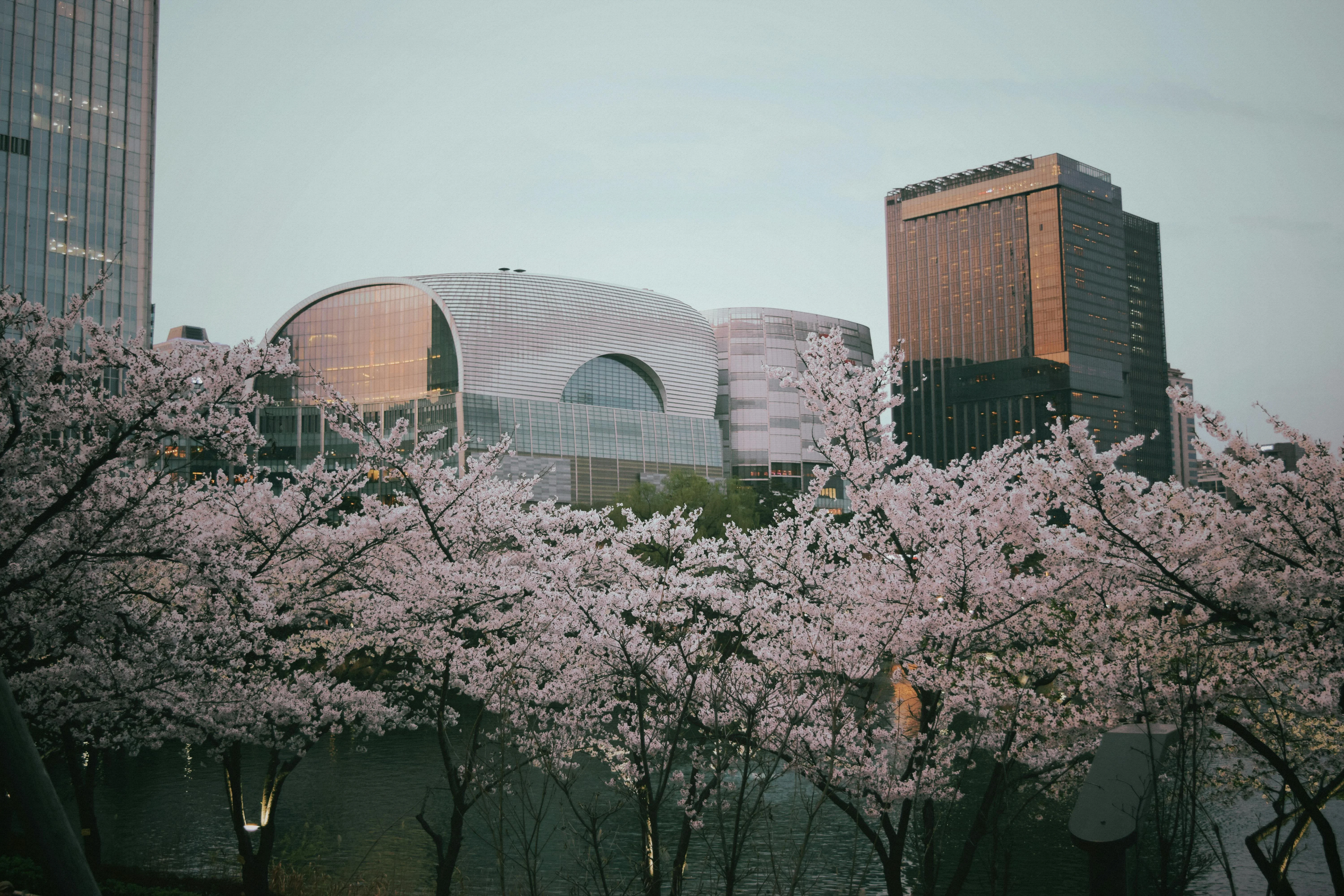 Seoul's Eco Guardians: Where Conservation Meets Captivation in Photos Image 3