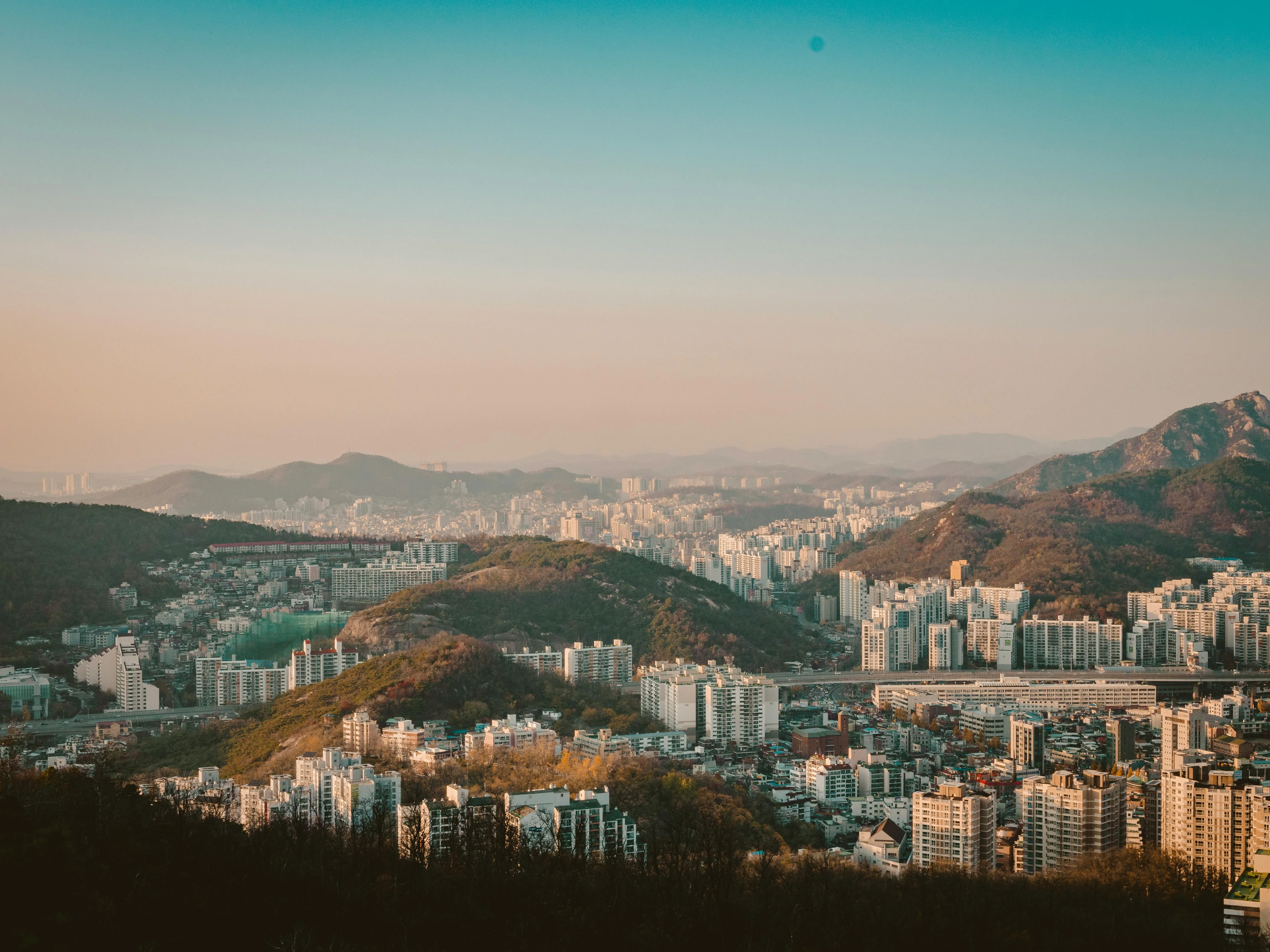 Seoul's Eco Guardians: Where Conservation Meets Captivation in Photos