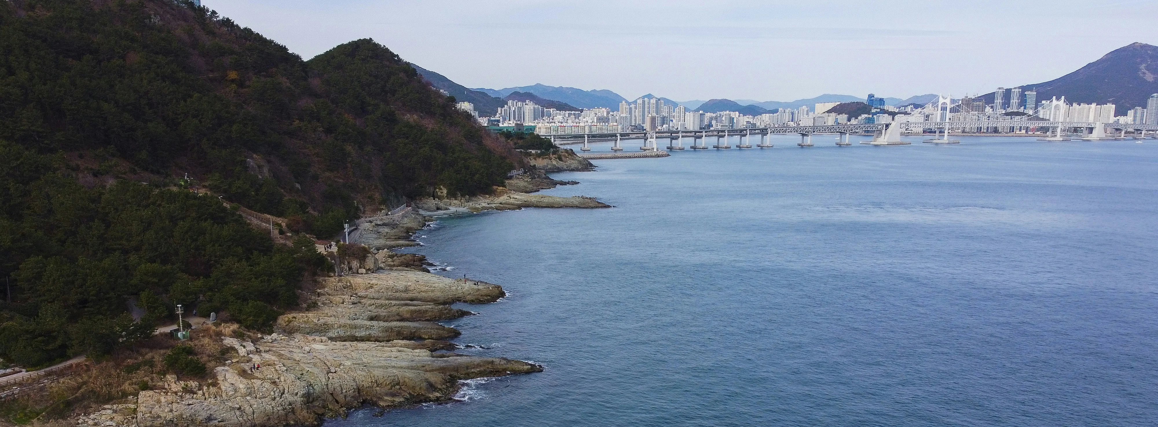 The Accessible Skyline: Busan's Best Wheelchair-Accessible Rooftops Image 3