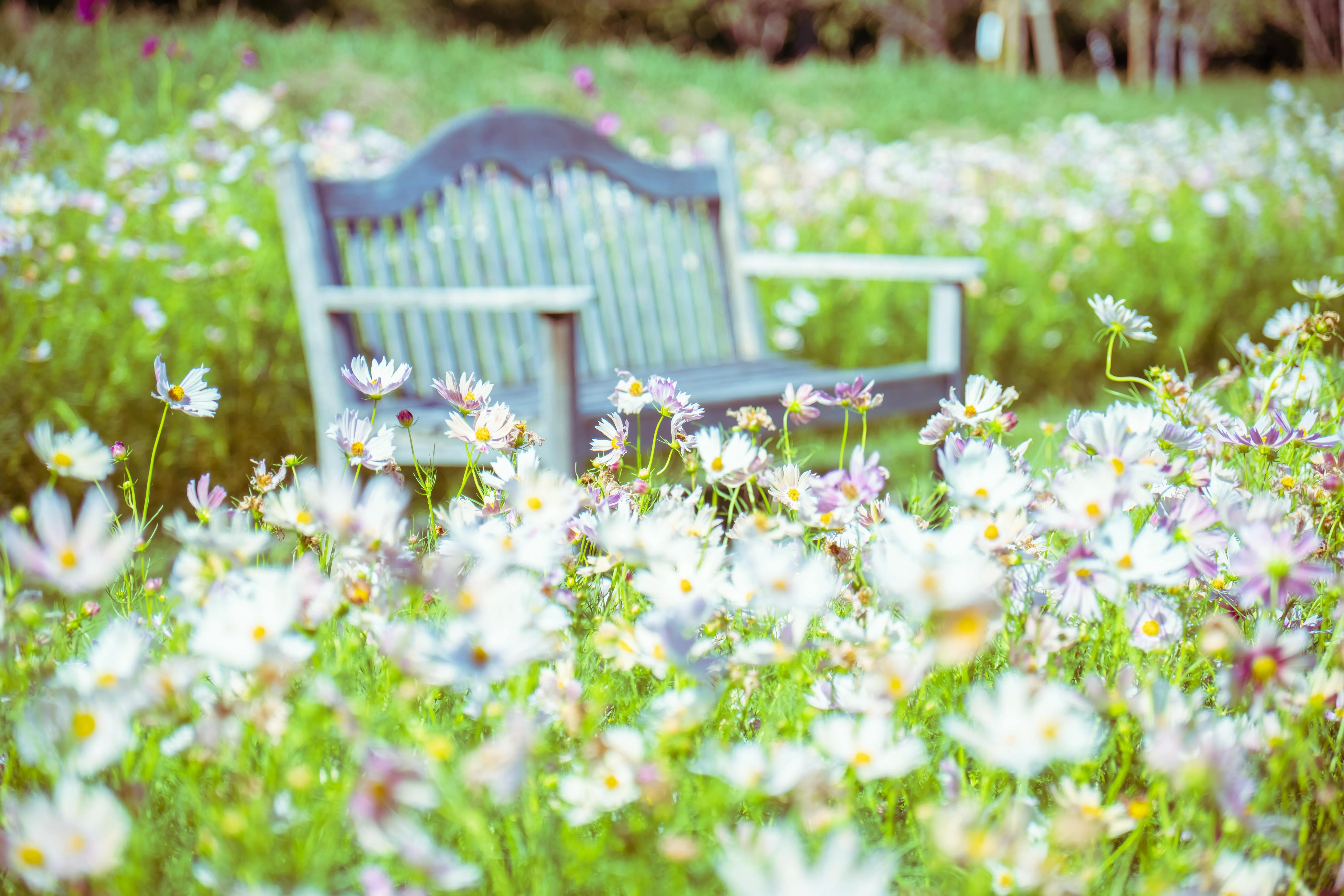 Budget Botanical Bliss: Hokkaido's Most Beautiful Parks to Stroll Image 2