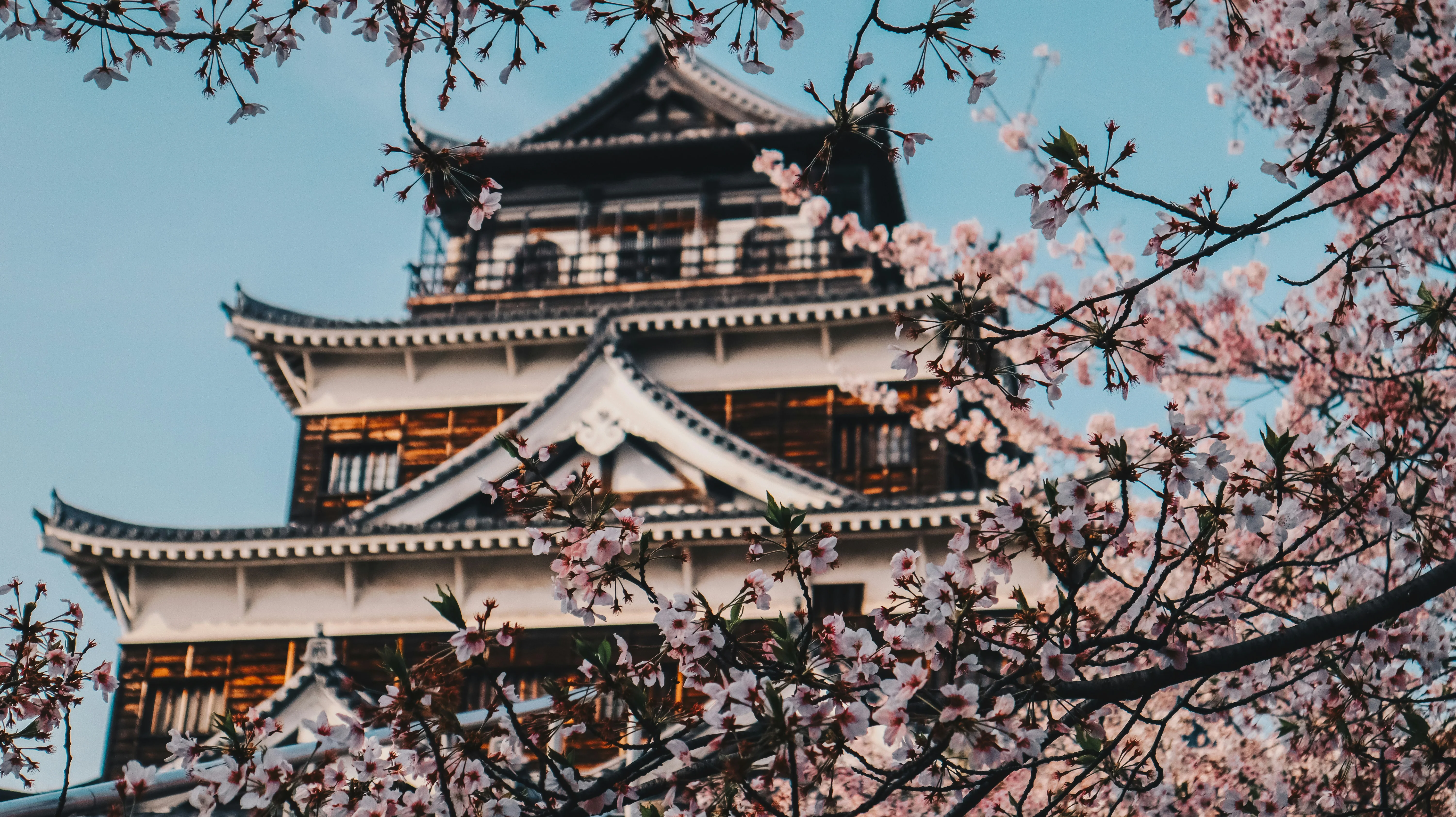 Seasons of Change: Experiencing Hiroshima's Nature Through the Year Image 1