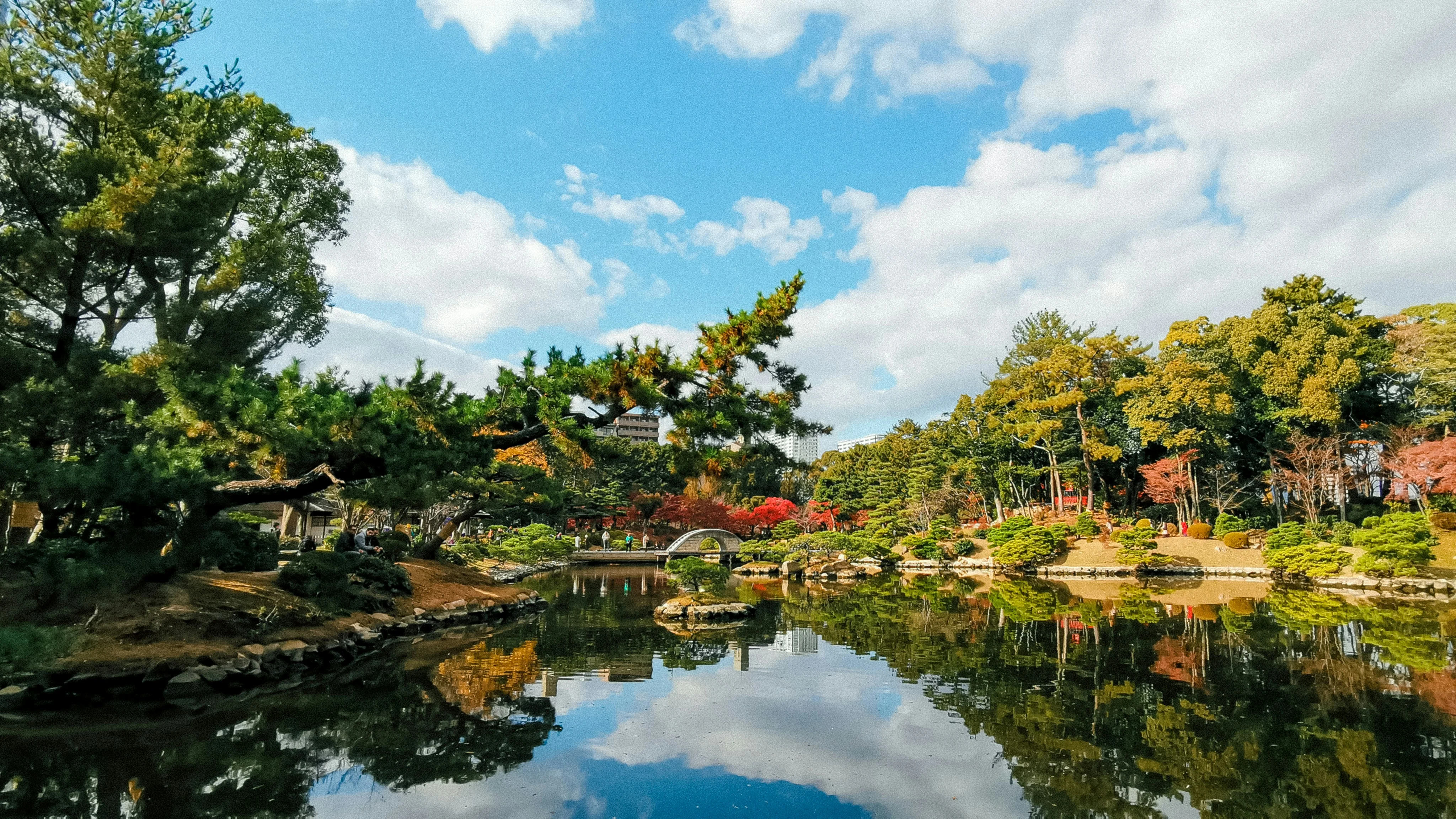 Seasons of Change: Experiencing Hiroshima's Nature Through the Year Image 3