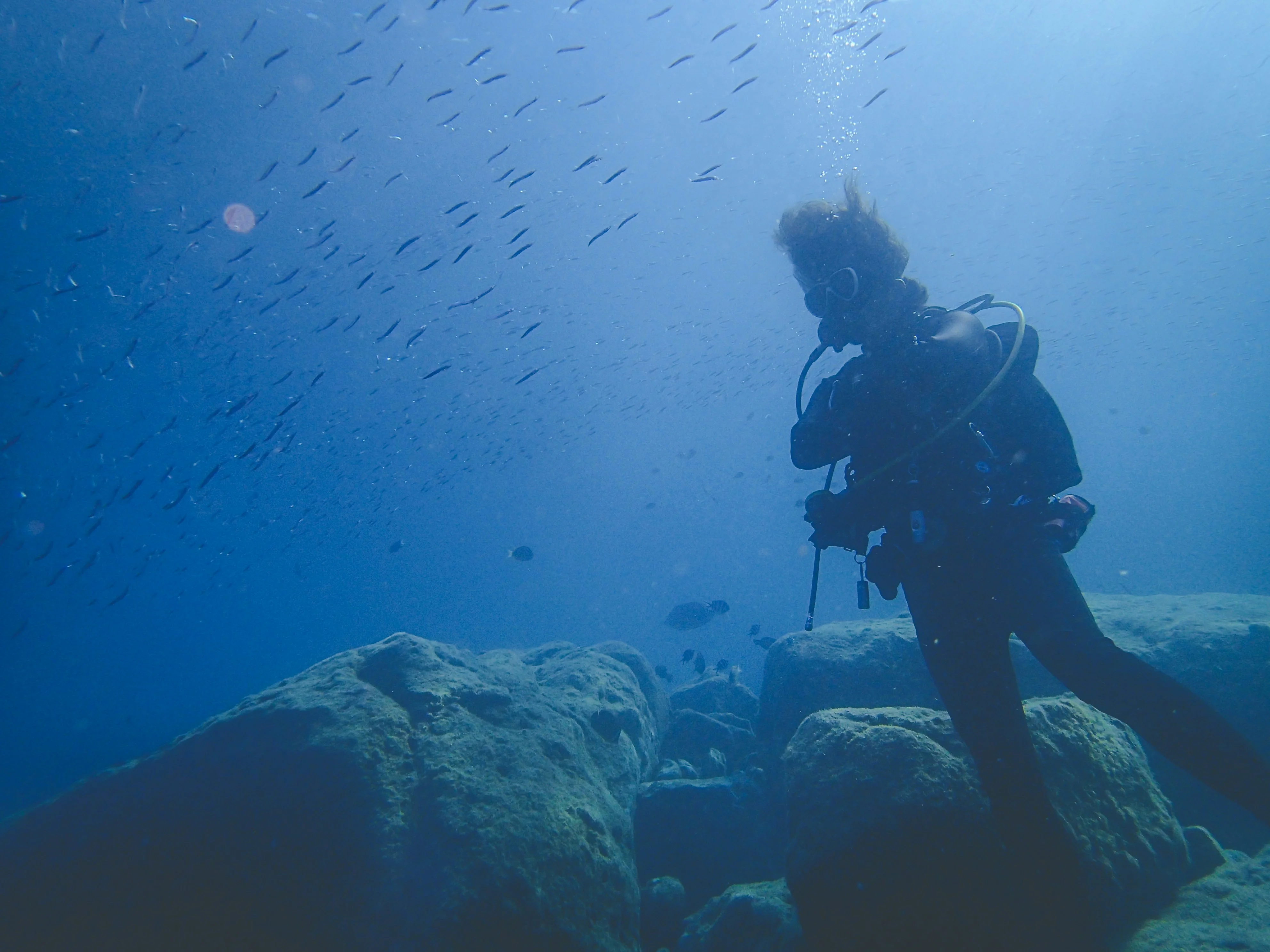 Osaka Underwater: Scuba Diving Adventures in Osaka Bay Image 3