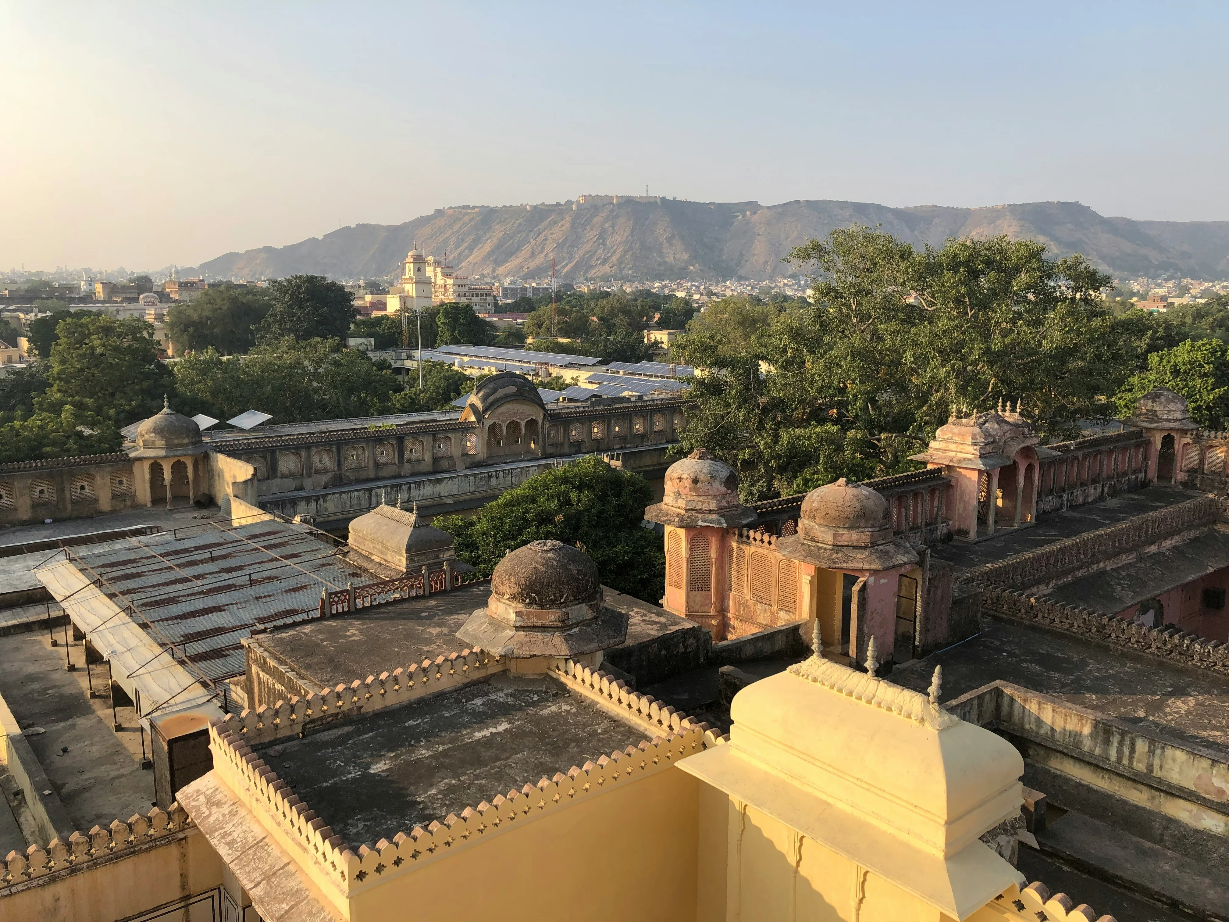 Jantar Mantar with Paws: A Solo Traveler's Pet-Friendly Astronomical Journey