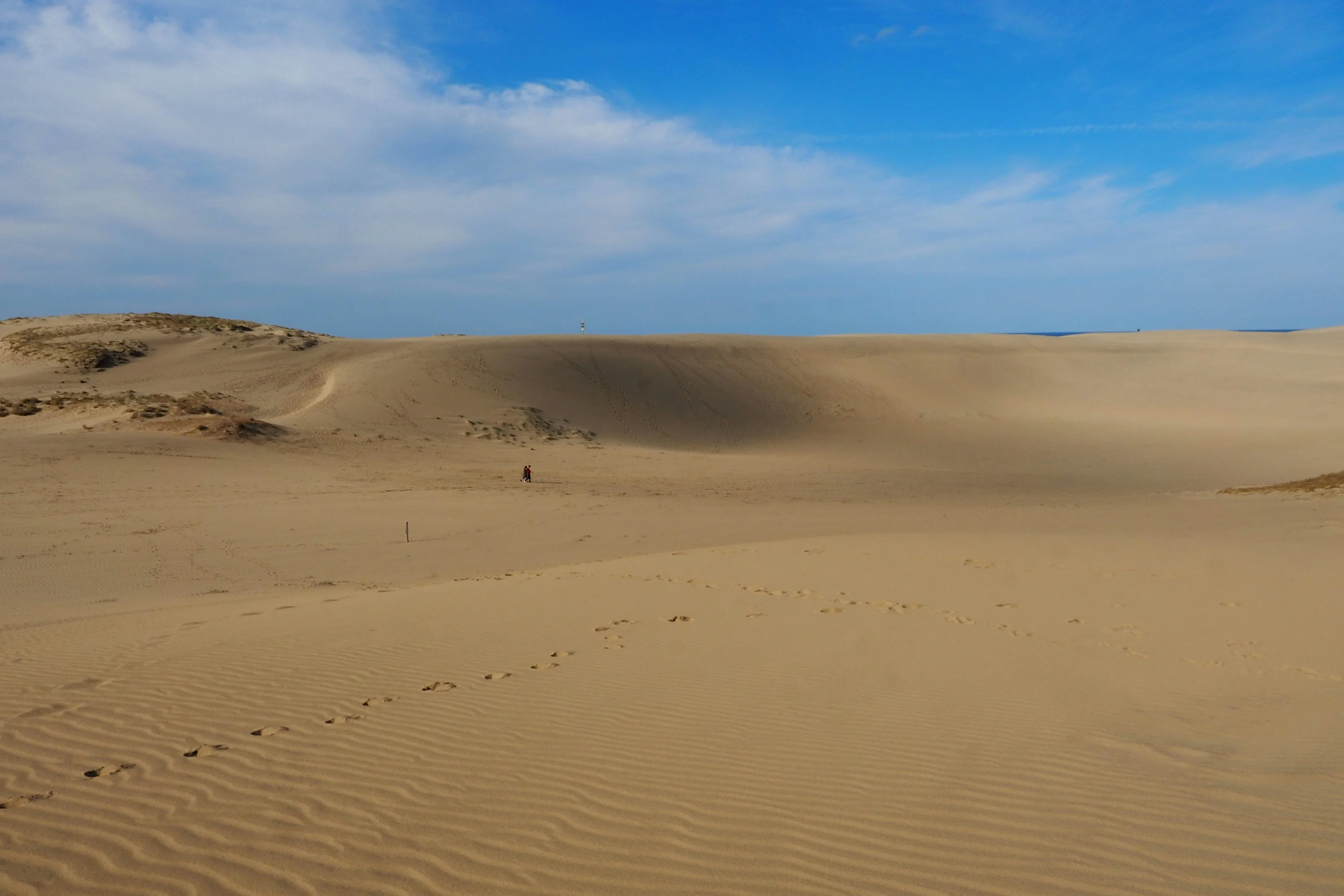  Wander and Wonder: Discovering the Whispering Sands of Tottori Image 1