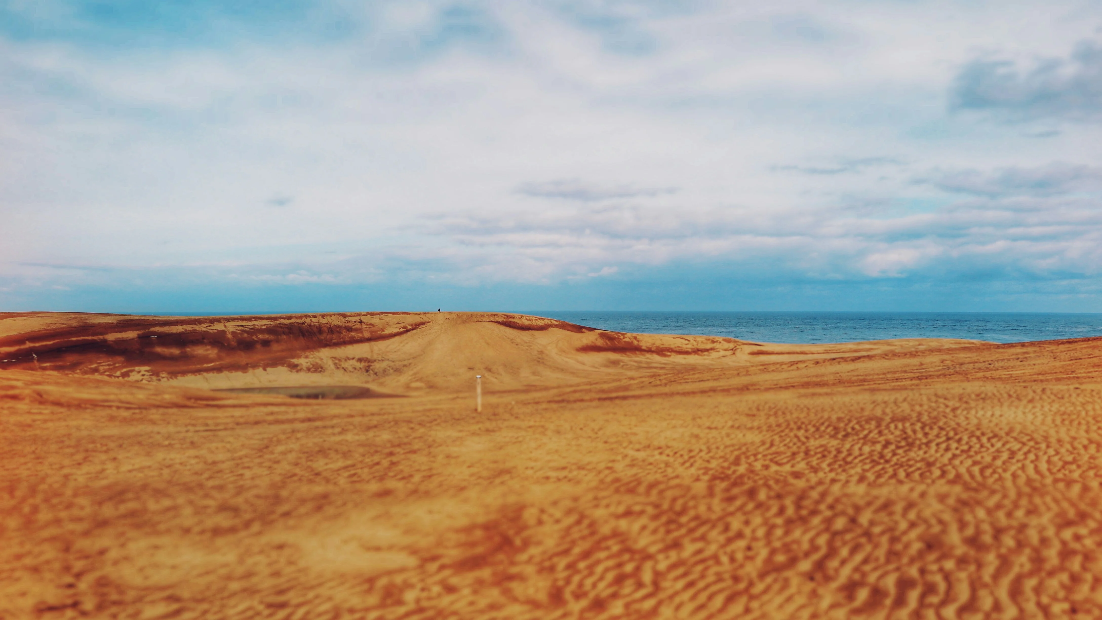 Wander and Wonder: Discovering the Whispering Sands of Tottori