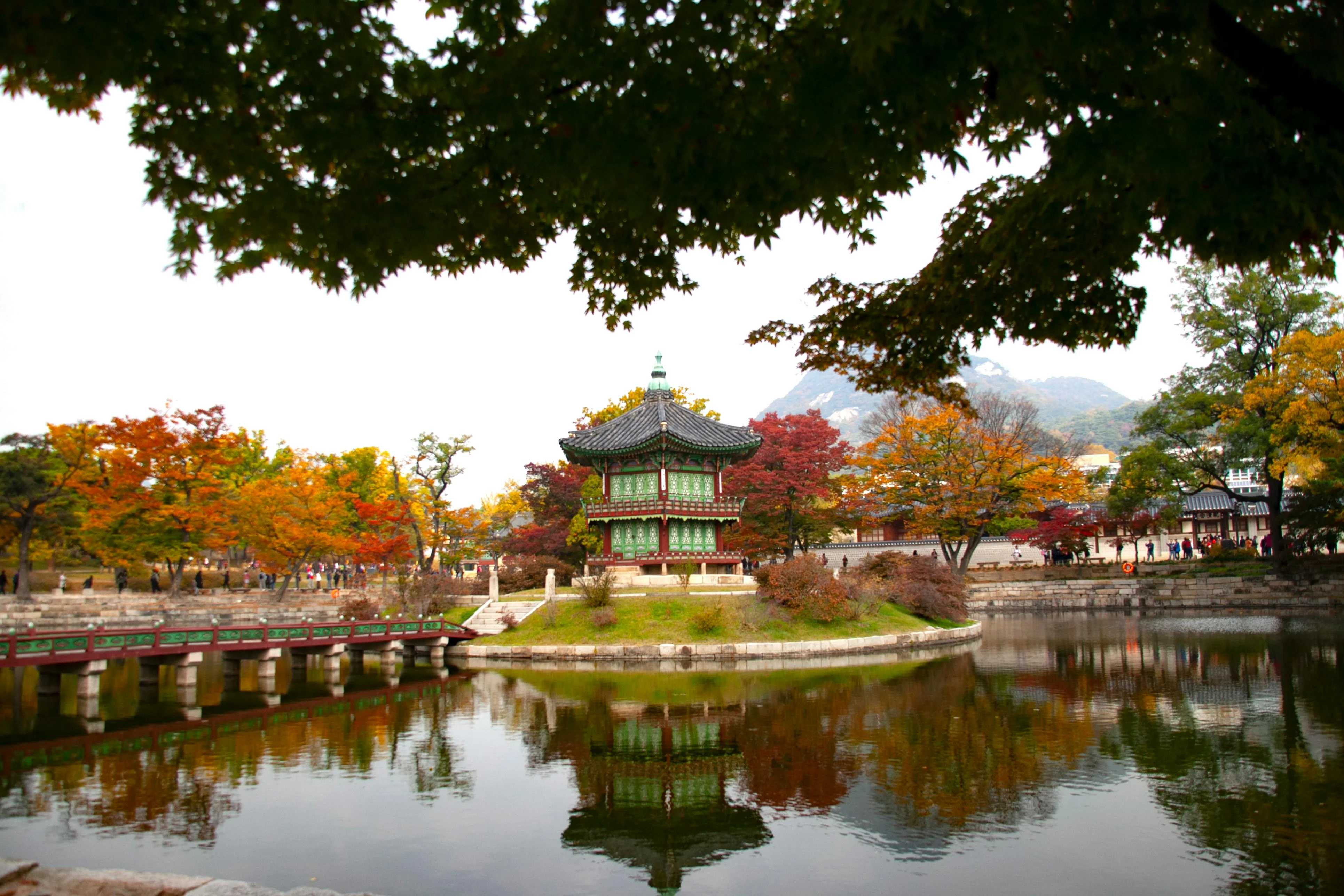 Nature's Canvas: Eco-Friendly Photography Hotspots in Seoul Image 2