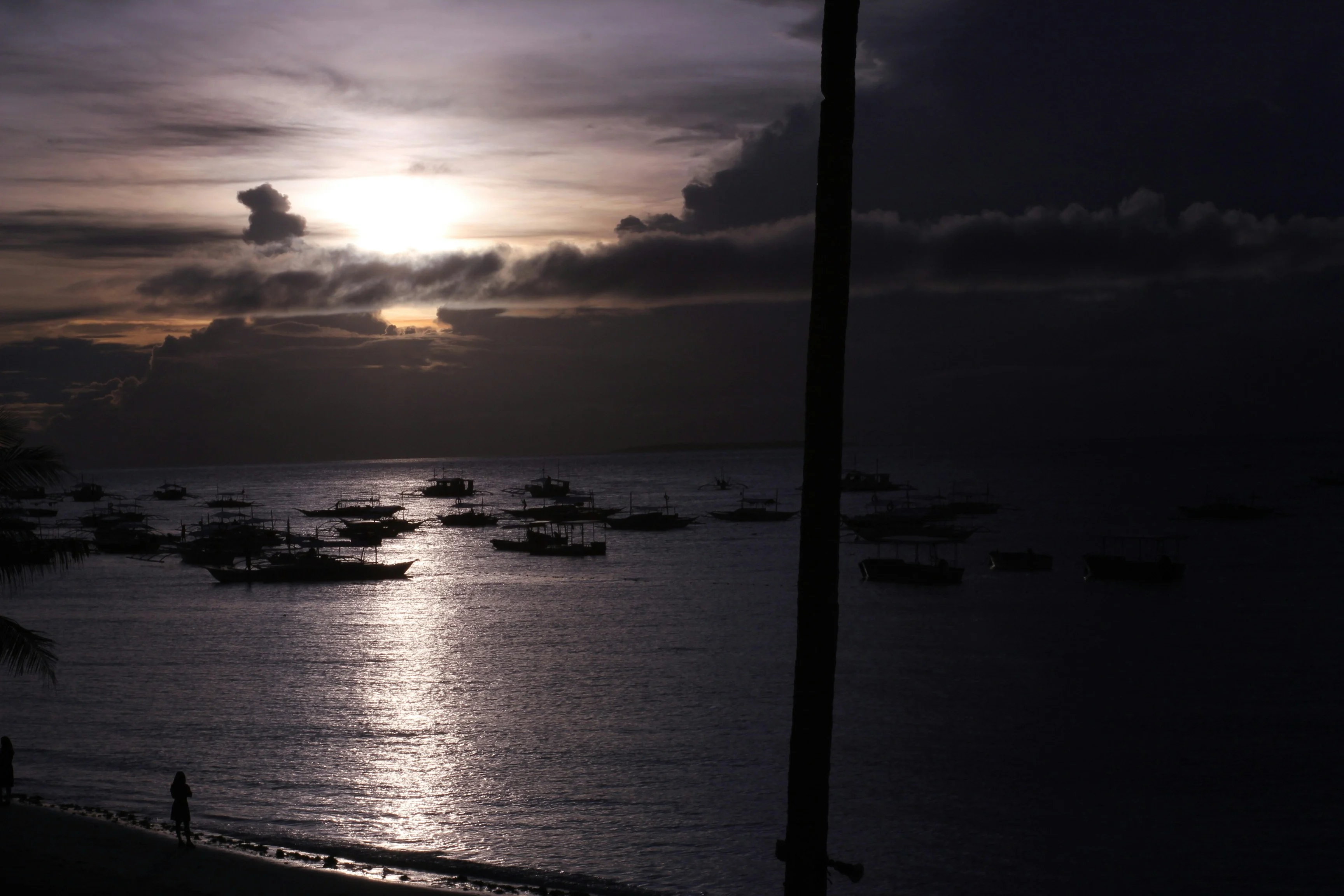 Foraging in Filipino Fields: Sustainable Culinary Adventures in Bohol Image 3