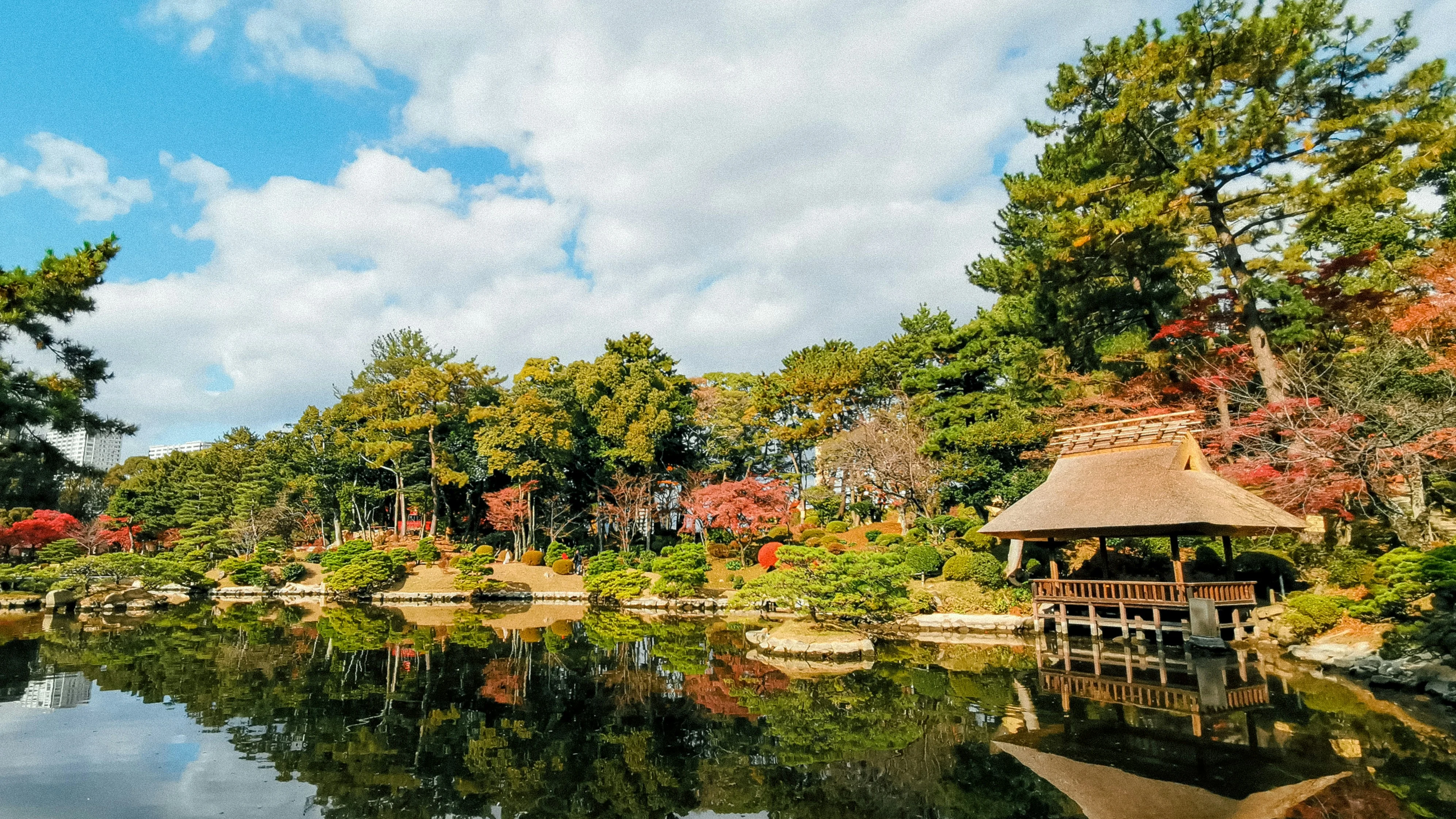 From Battlefield to Eden: Reviving Hiroshima's Natural Landscapes Image 1