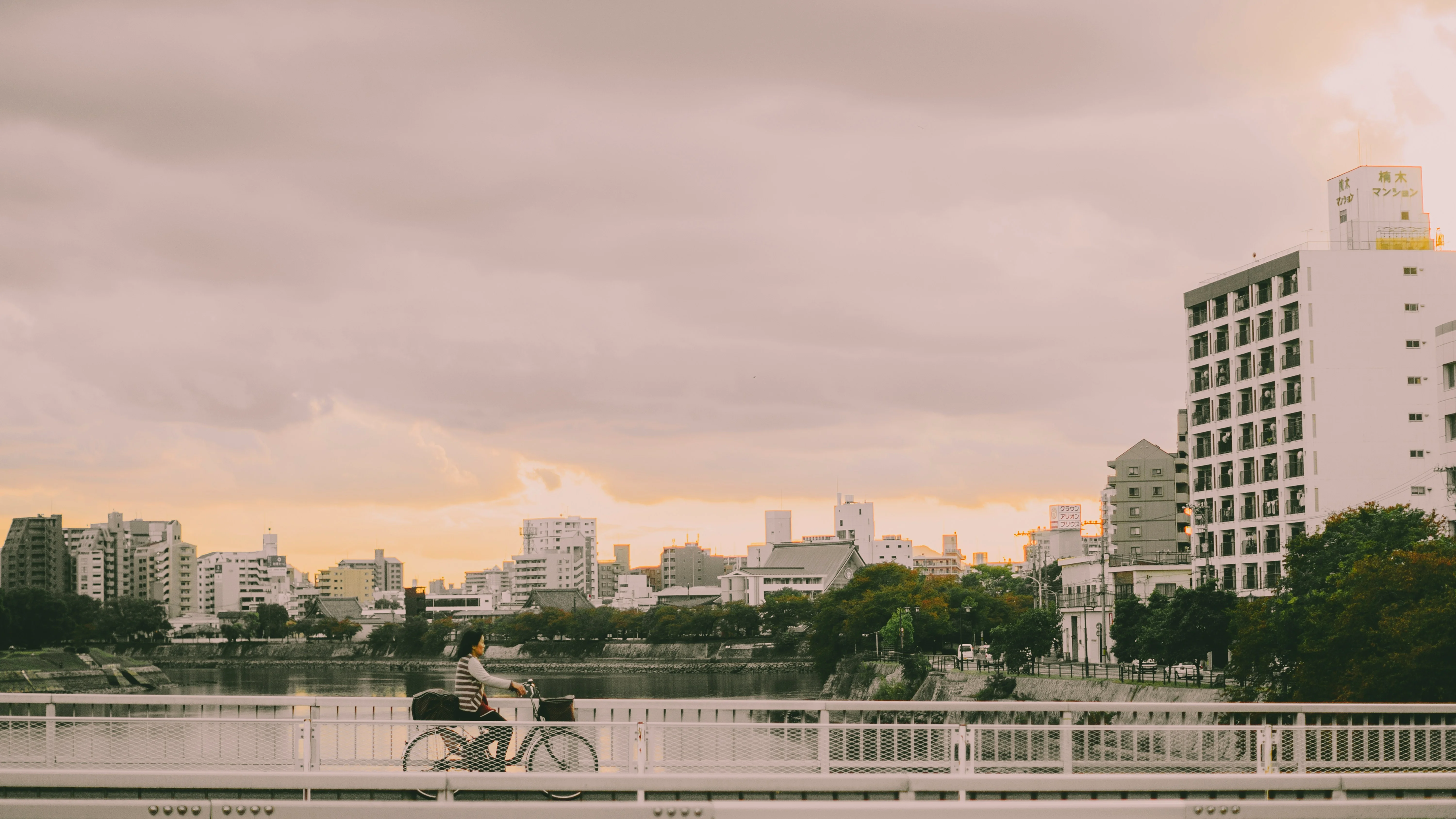 From Battlefield to Eden: Reviving Hiroshima's Natural Landscapes Image 3