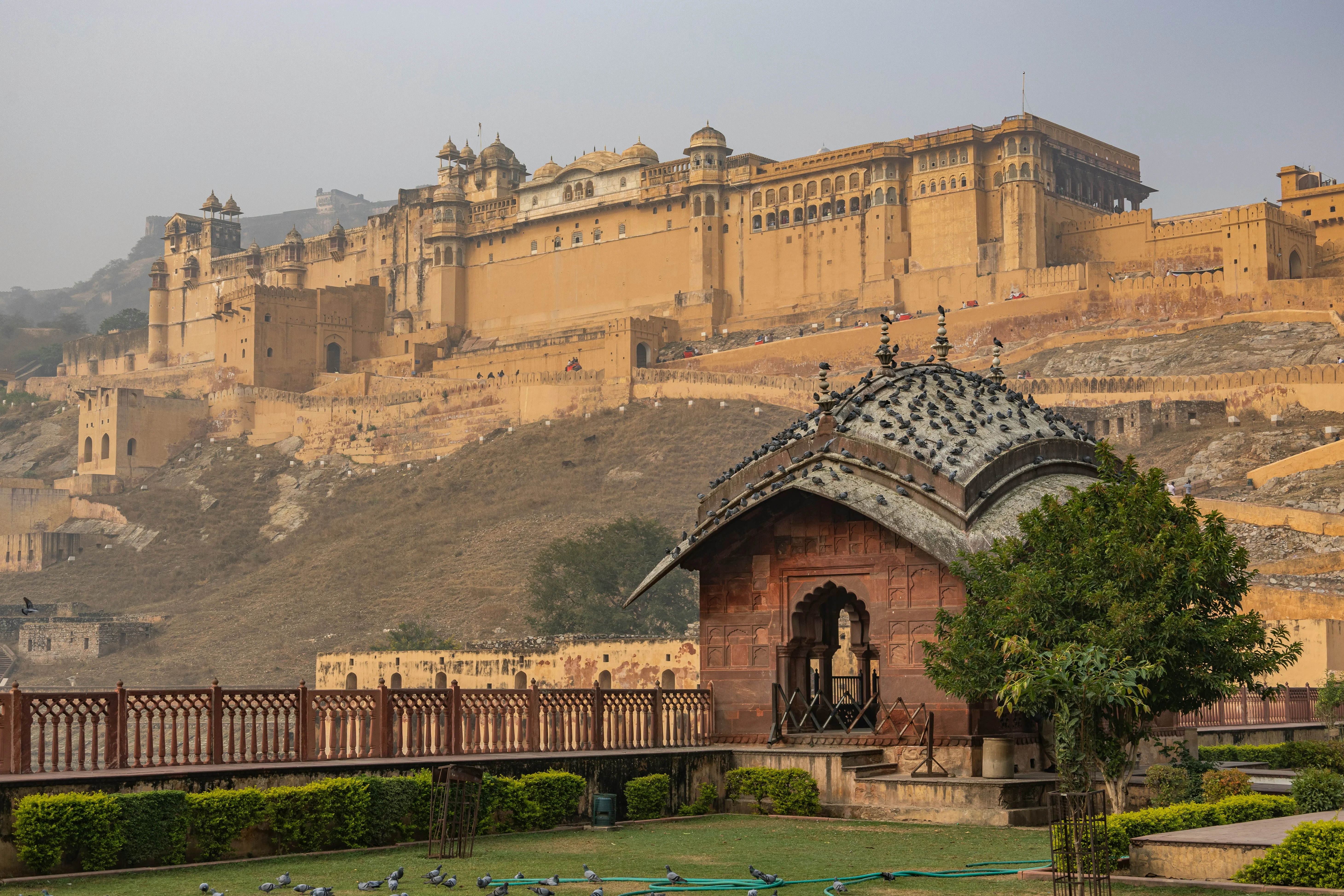 Solo Strolls in Amber Fort: Historical Walks for You and Your Pet Image 3