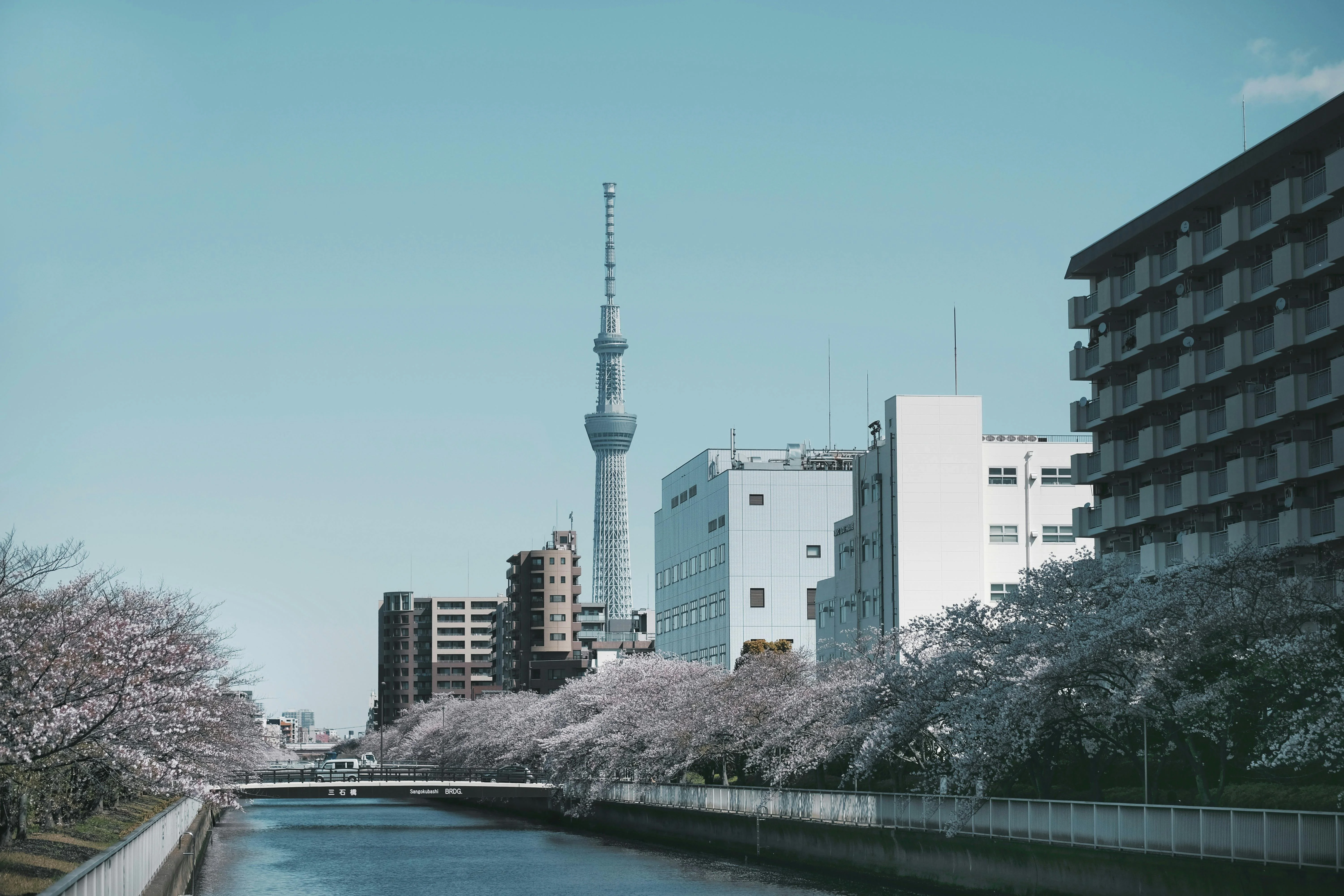 Floating Through History: Accessible Cruise Tours on Tokyo's Rivers Image 2