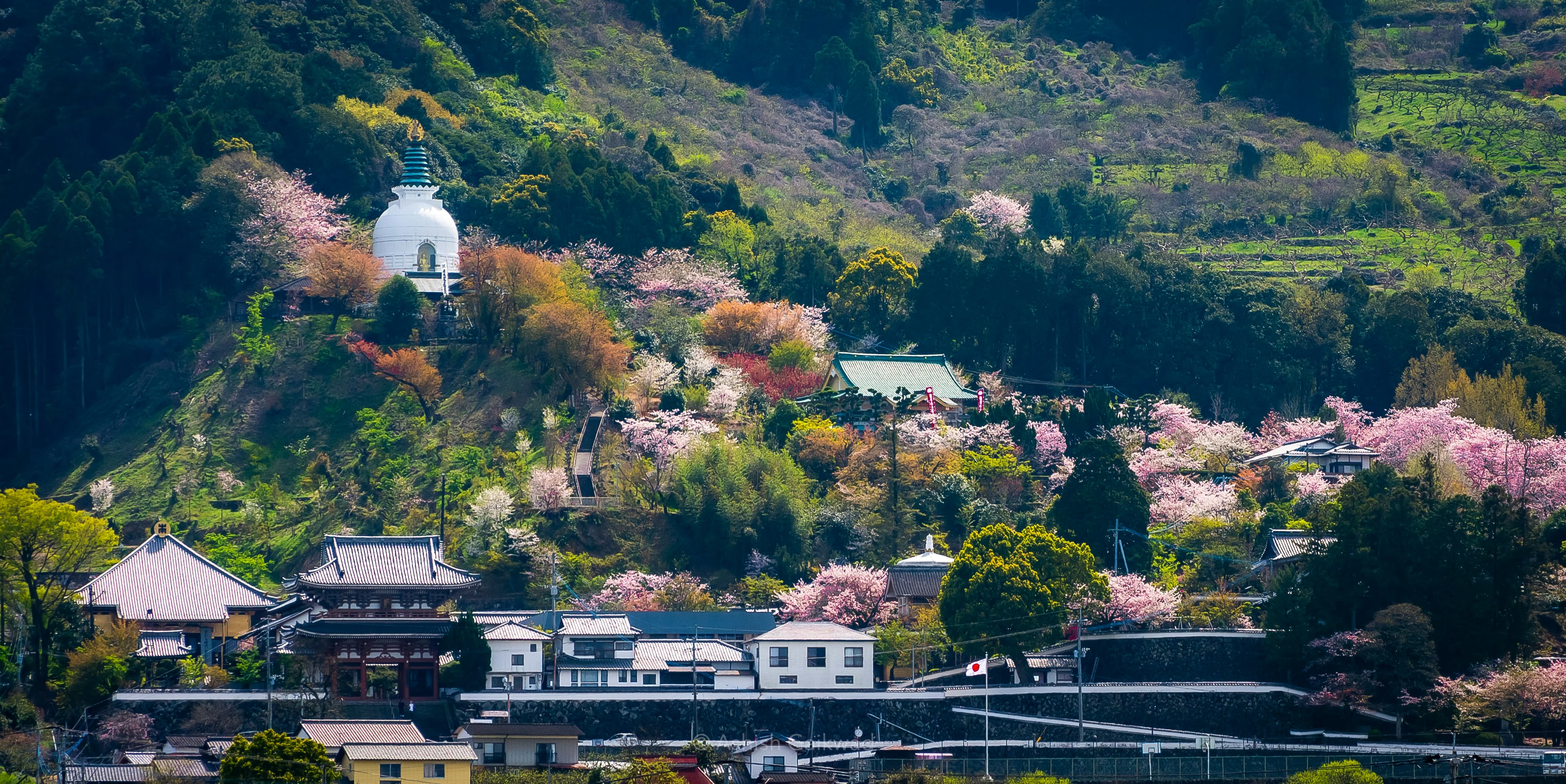 The Secrets of Sake: Exploring Fukuoka's Nature-Inspired Brewerie