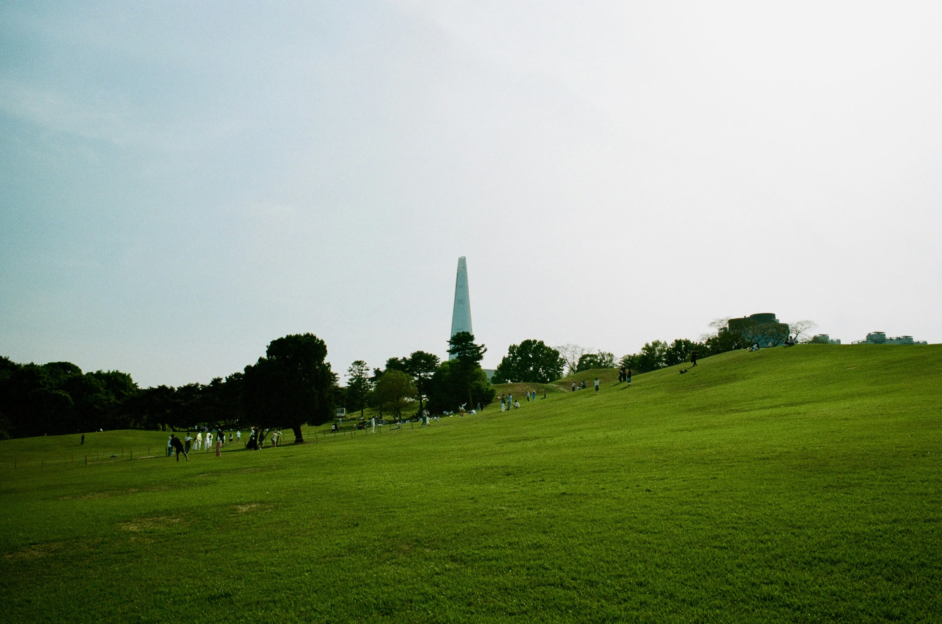 Frame to Fame: Capturing Seoul's Sustainable Side with Your Camera Image 1