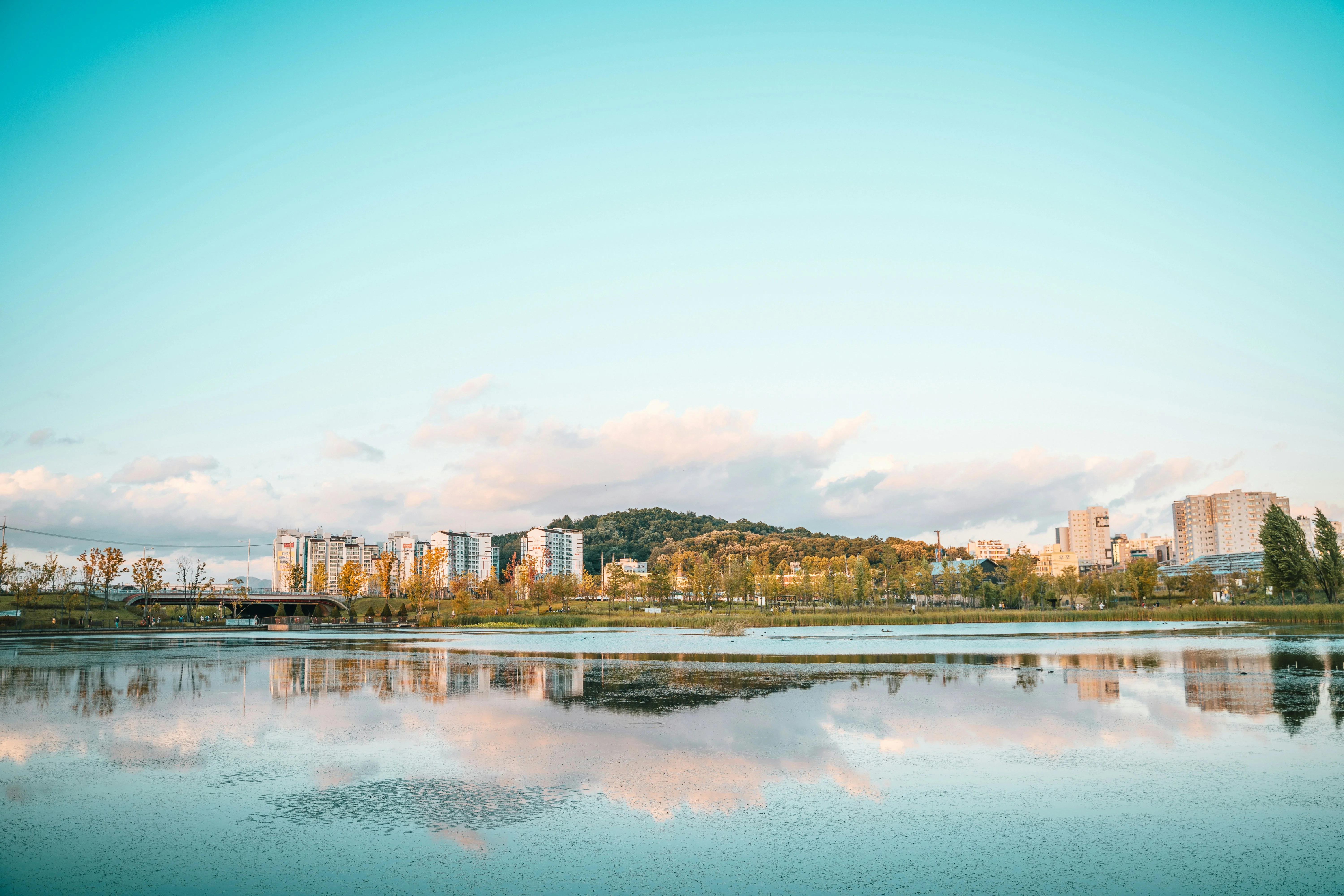 Frame to Fame: Capturing Seoul's Sustainable Side with Your Camera