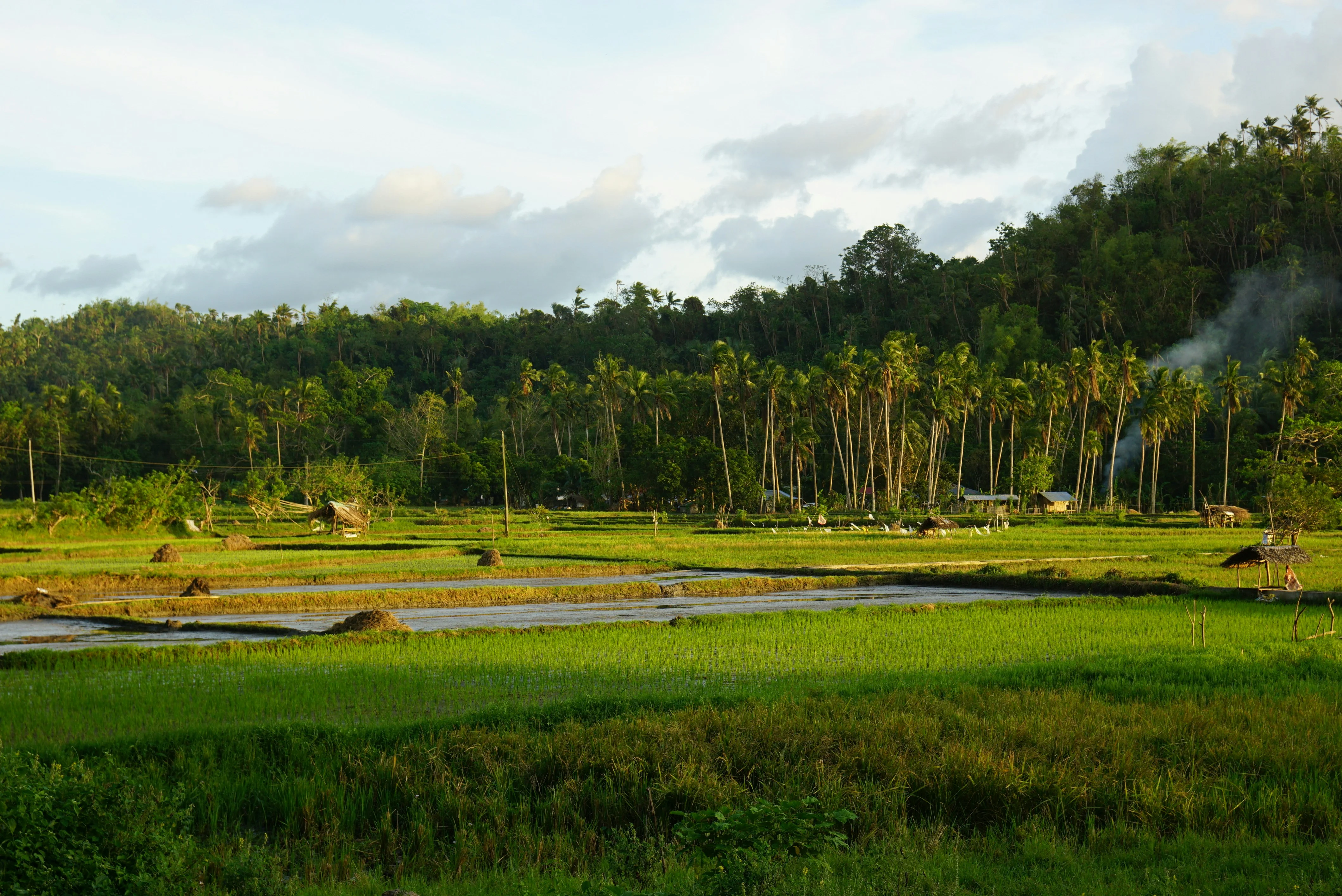 From Farm to Fellow Traveler: Interacting with Agritourism in the Philippines Image 2