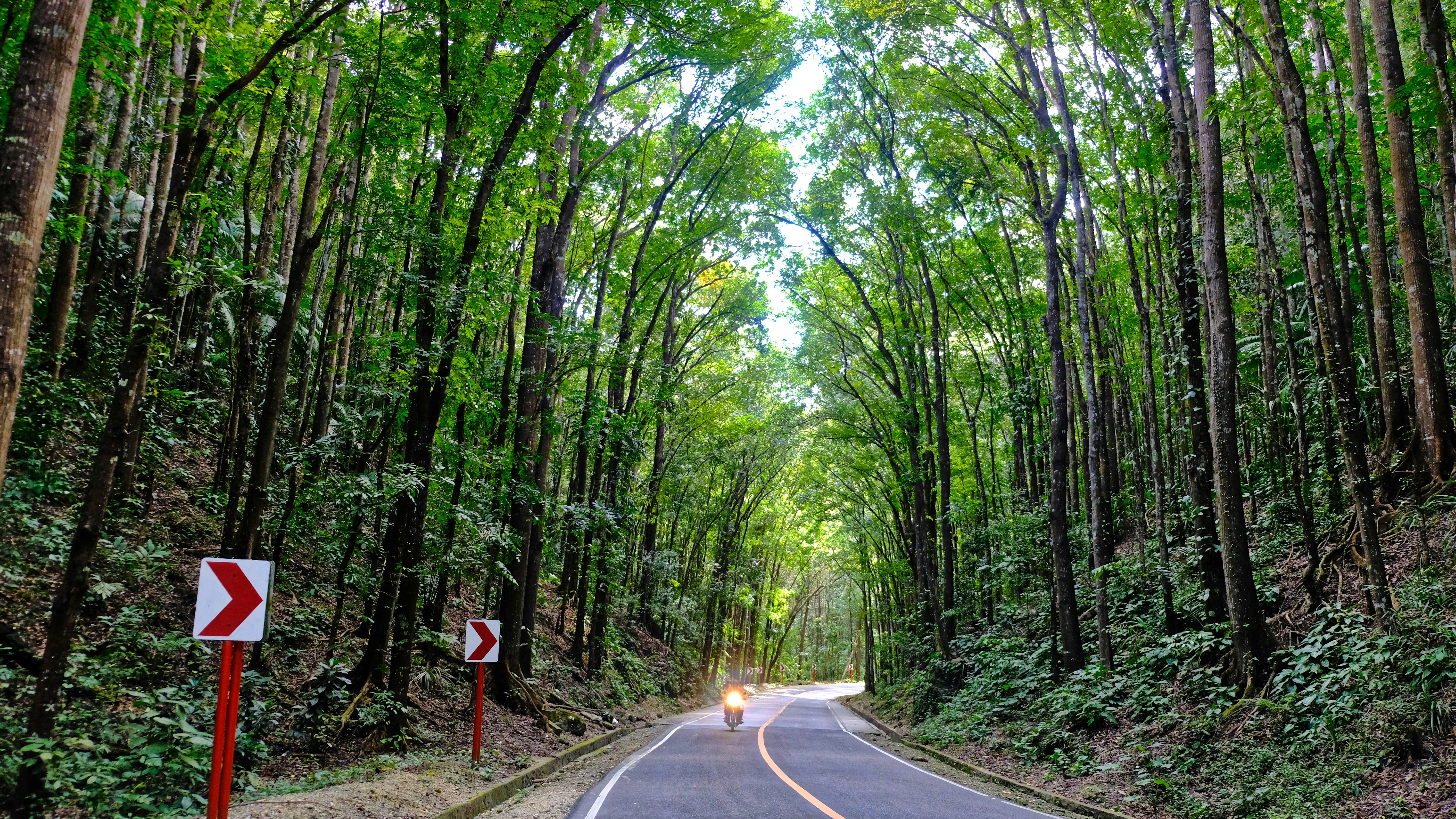 From Farm to Fellow Traveler: Interacting with Agritourism in the Philippines